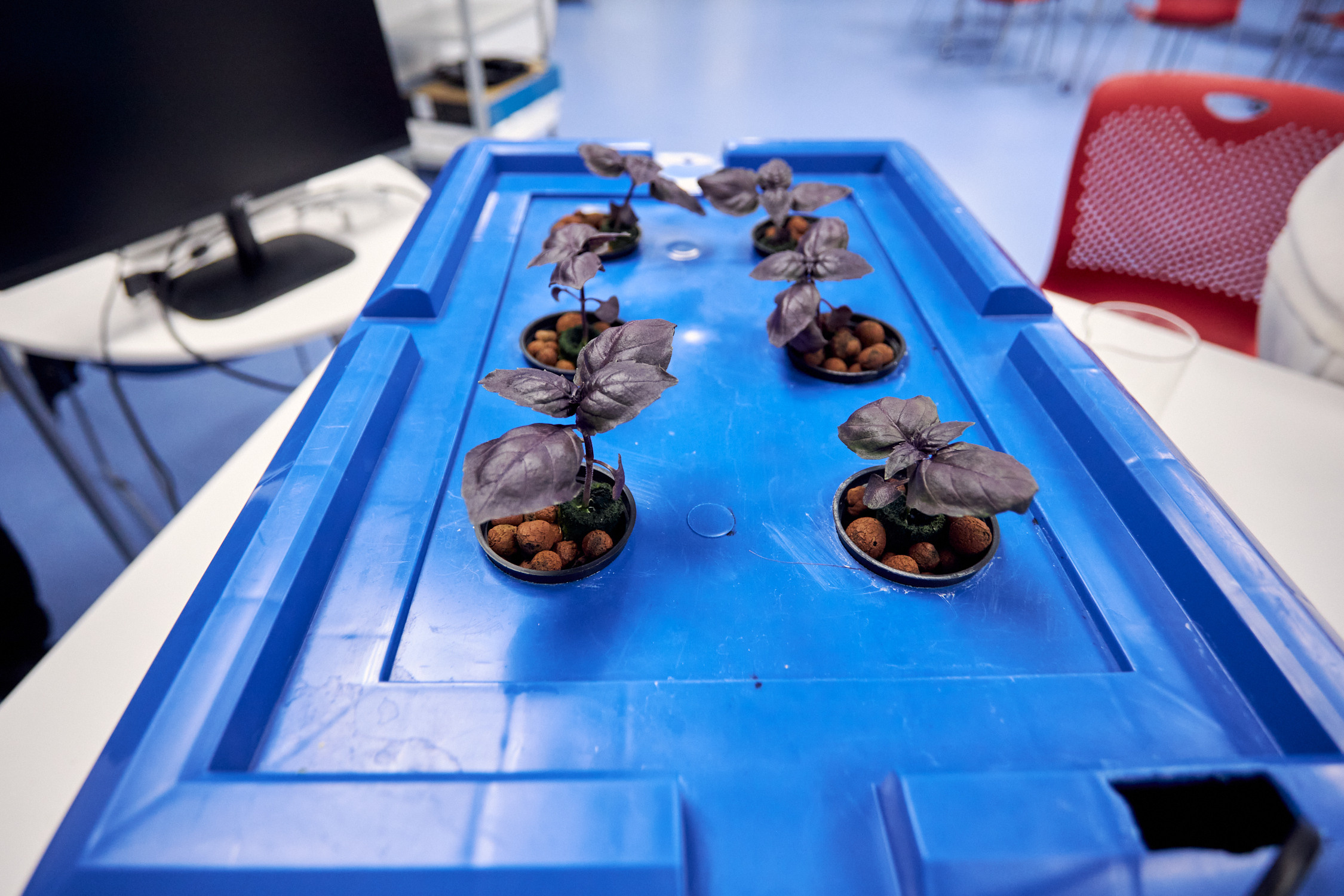 ДВФУ образование 2022. Репортажный фотограф Владивосток Анастасия Сокольникова