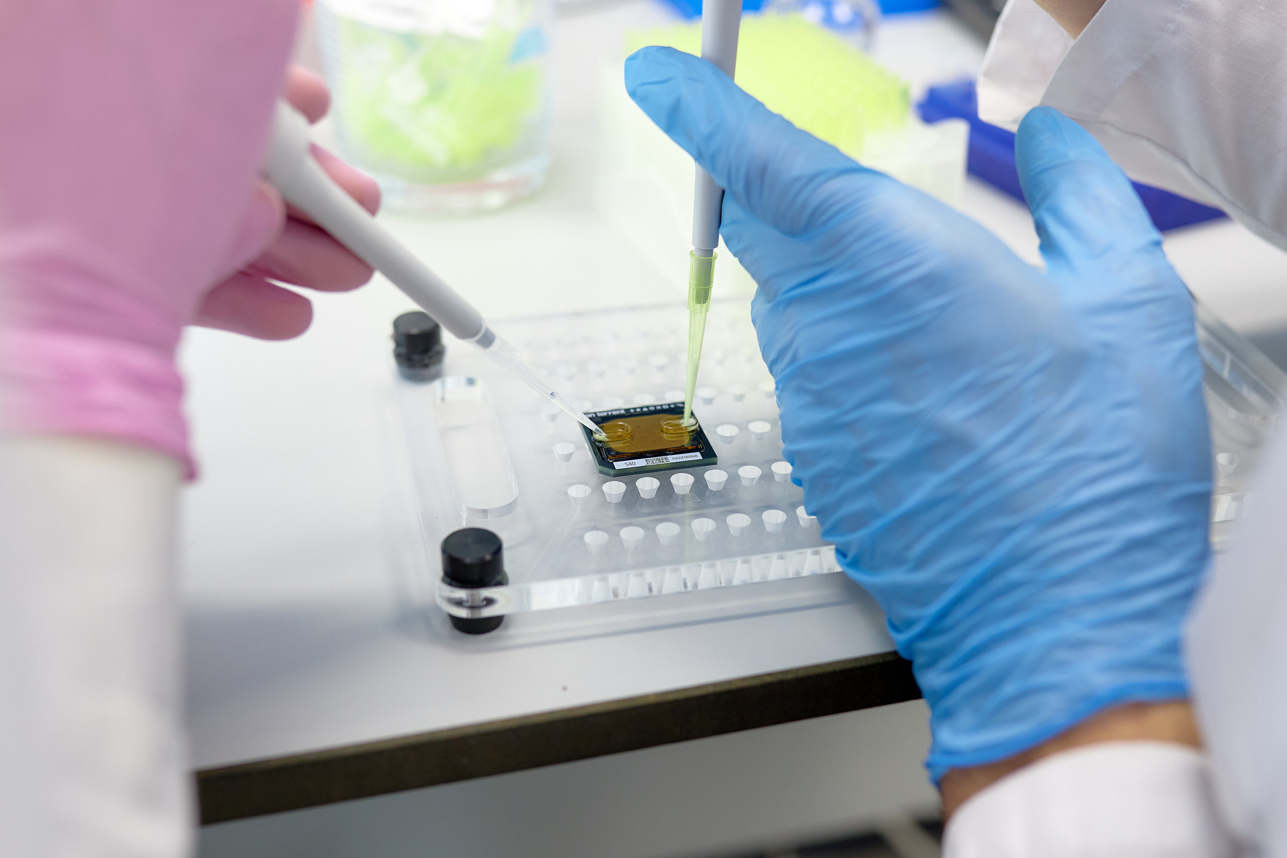 Лаборатории ДВФУ. Репортажный фотограф Владивосток Анастасия Сокольникова