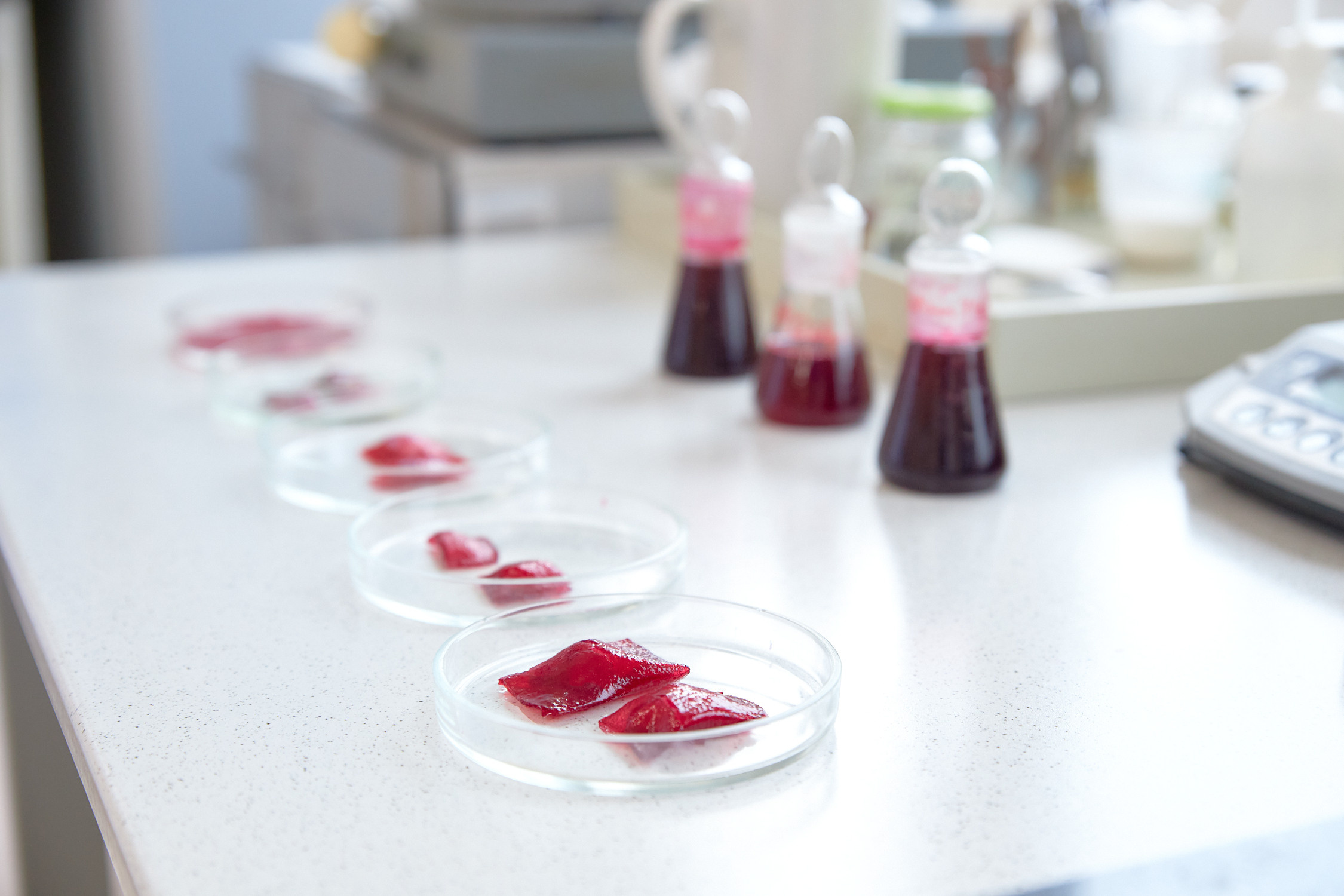 Лаборатории ДВФУ. Репортажный фотограф Владивосток Анастасия Сокольникова