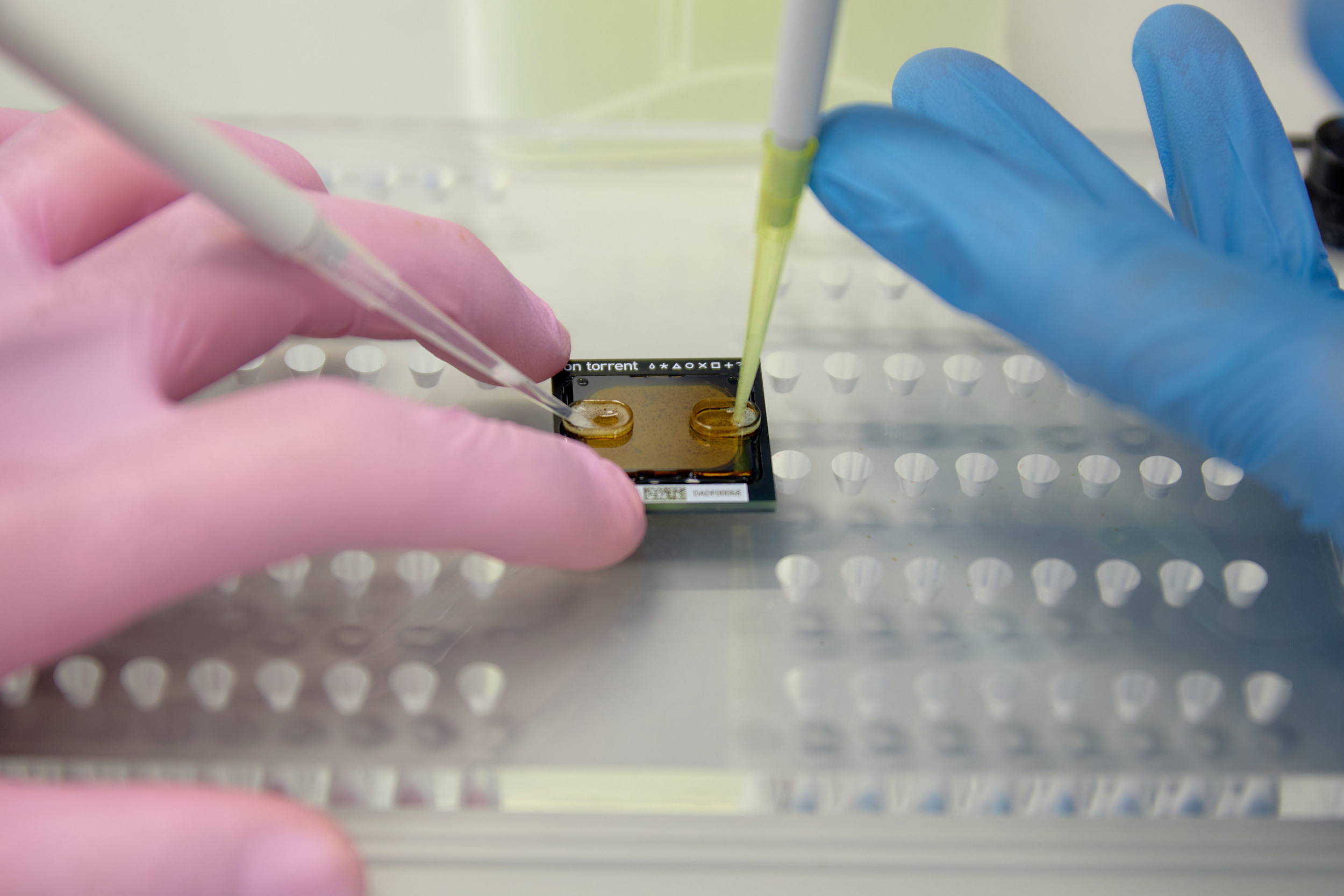 Лаборатории ДВФУ. Репортажный фотограф Владивосток Анастасия Сокольникова