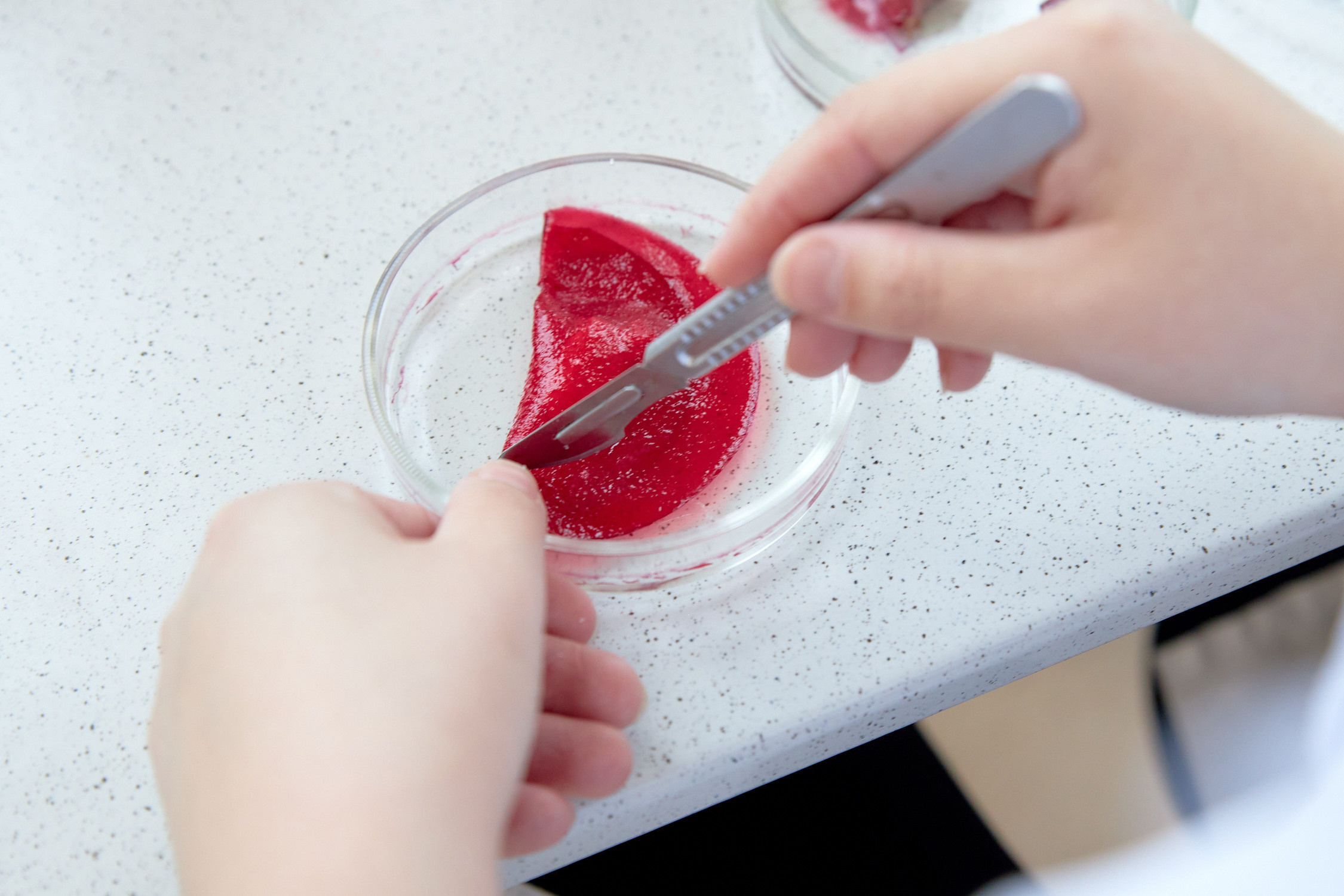 Лаборатории ДВФУ. Репортажный фотограф Владивосток Анастасия Сокольникова