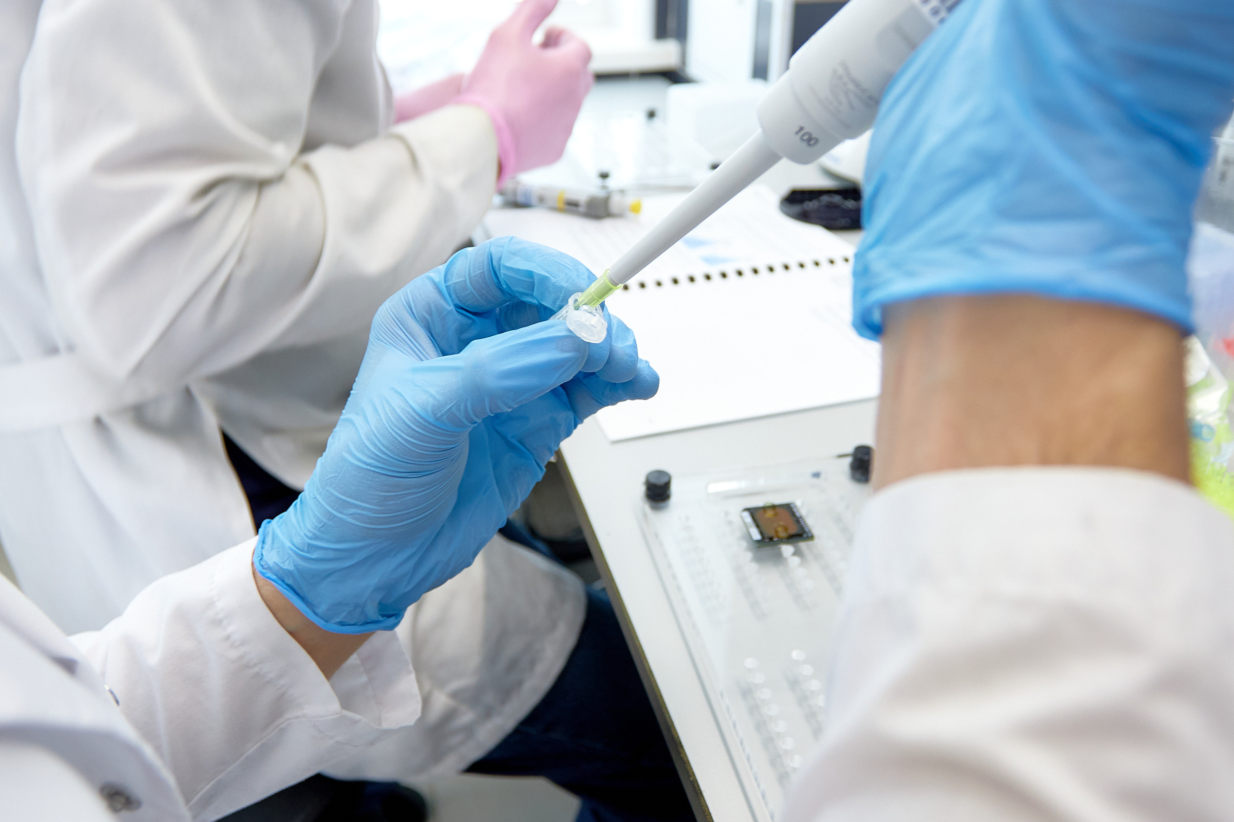 Лаборатории ДВФУ. Репортажный фотограф Владивосток Анастасия Сокольникова