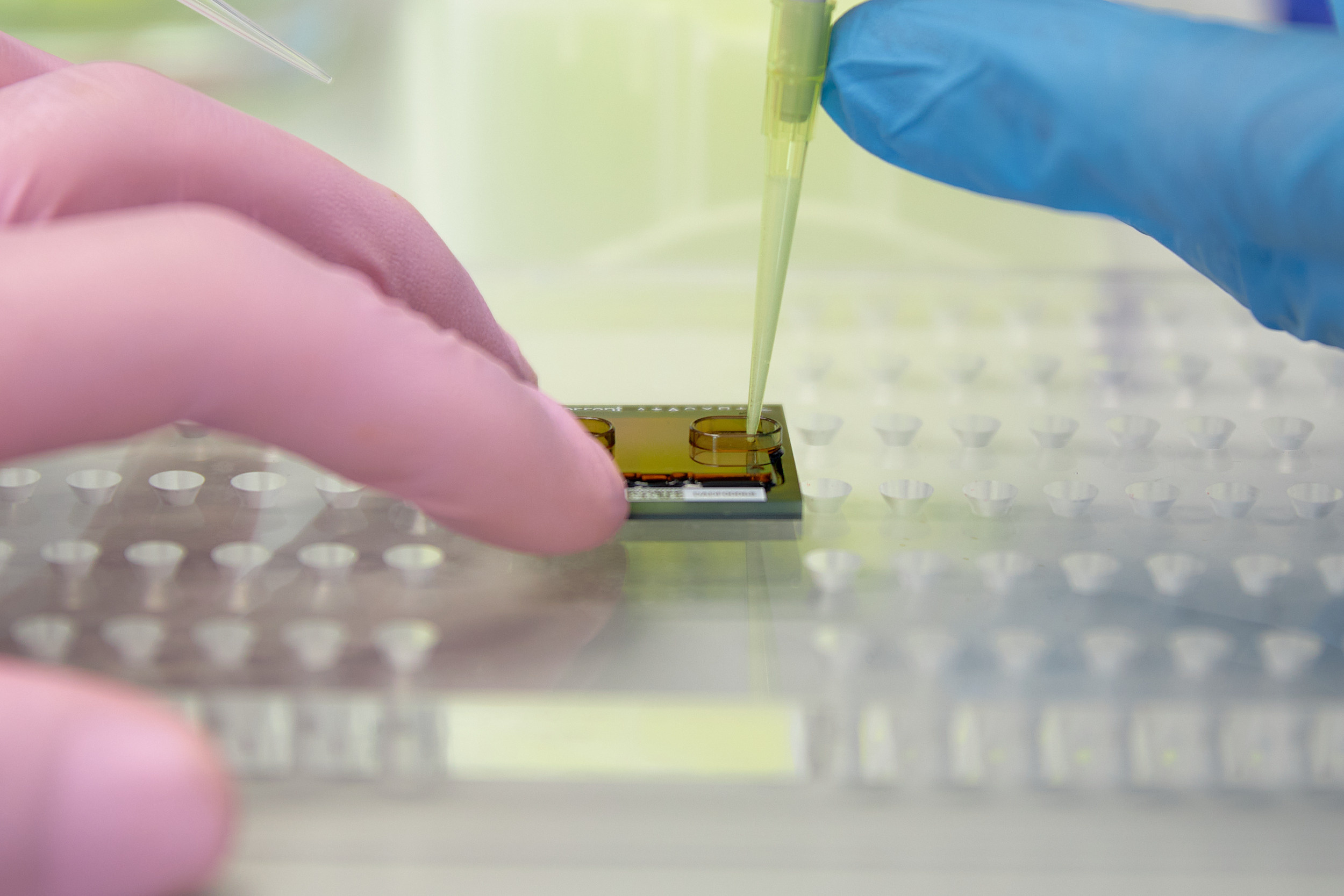 Лаборатории ДВФУ. Репортажный фотограф Владивосток Анастасия Сокольникова