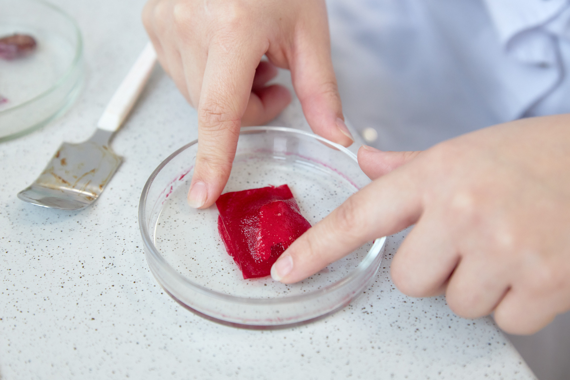 Лаборатории ДВФУ. Репортажный фотограф Владивосток Анастасия Сокольникова