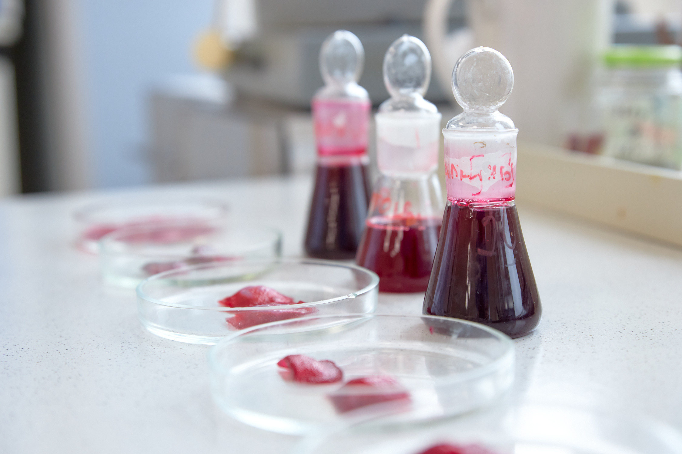 Лаборатории ДВФУ. Репортажный фотограф Владивосток Анастасия Сокольникова