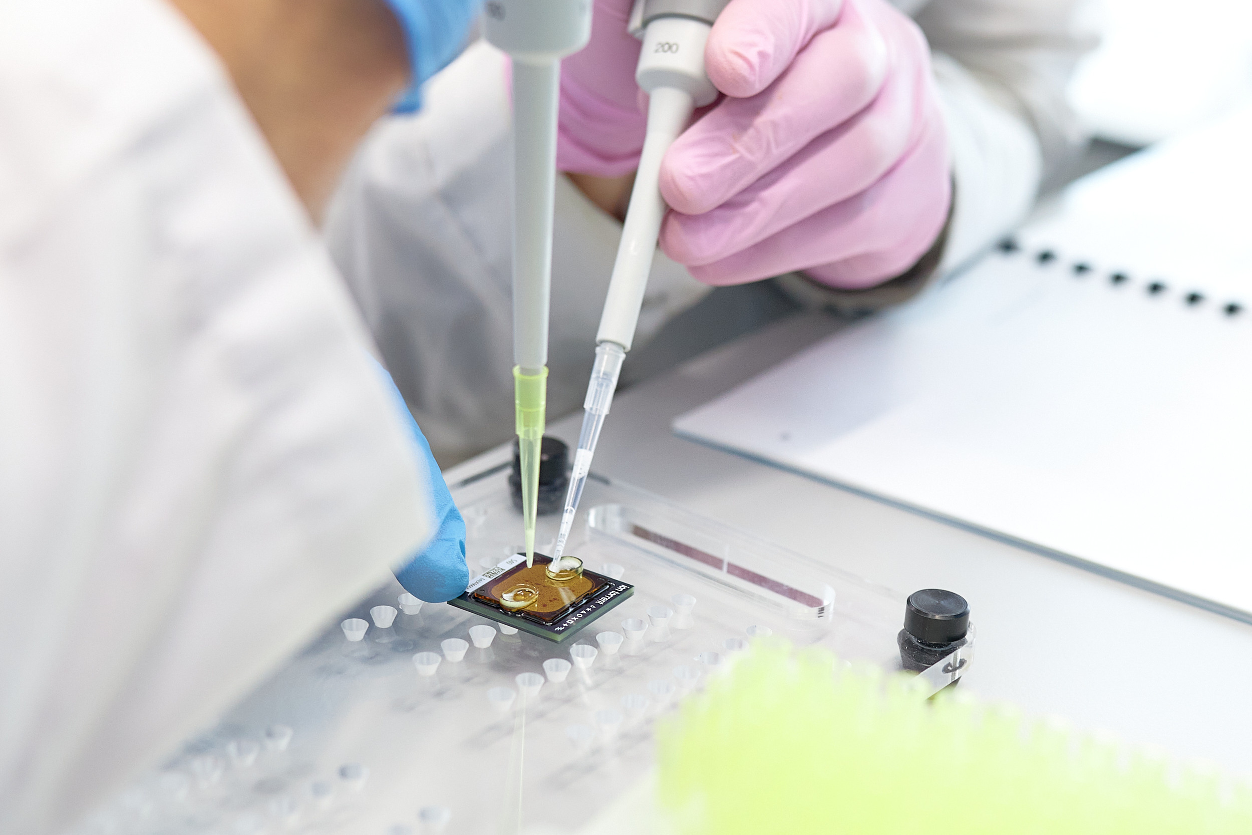 Лаборатории ДВФУ. Репортажный фотограф Владивосток Анастасия Сокольникова