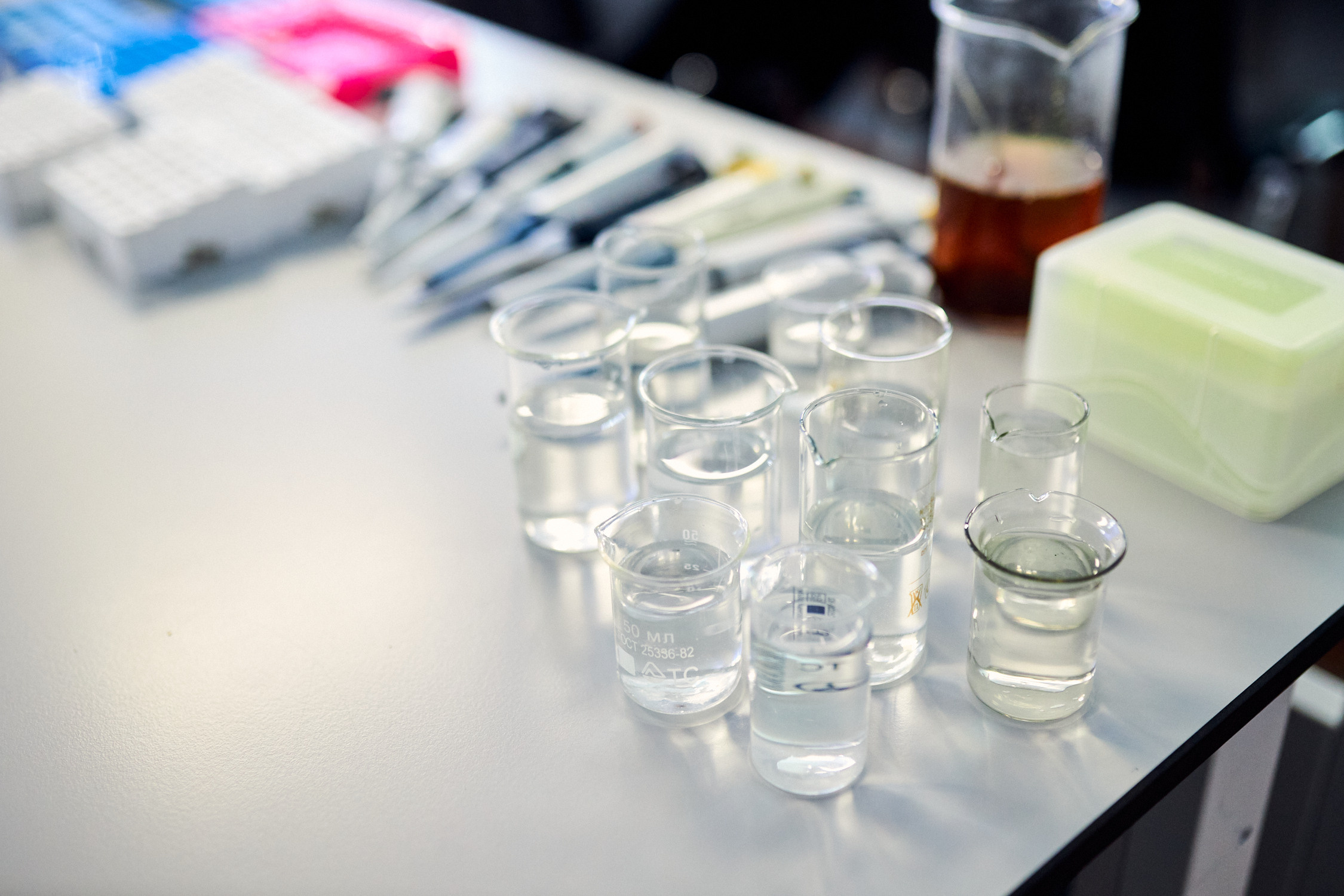 ДВФУ образование 2022. Репортажный фотограф Владивосток Анастасия Сокольникова