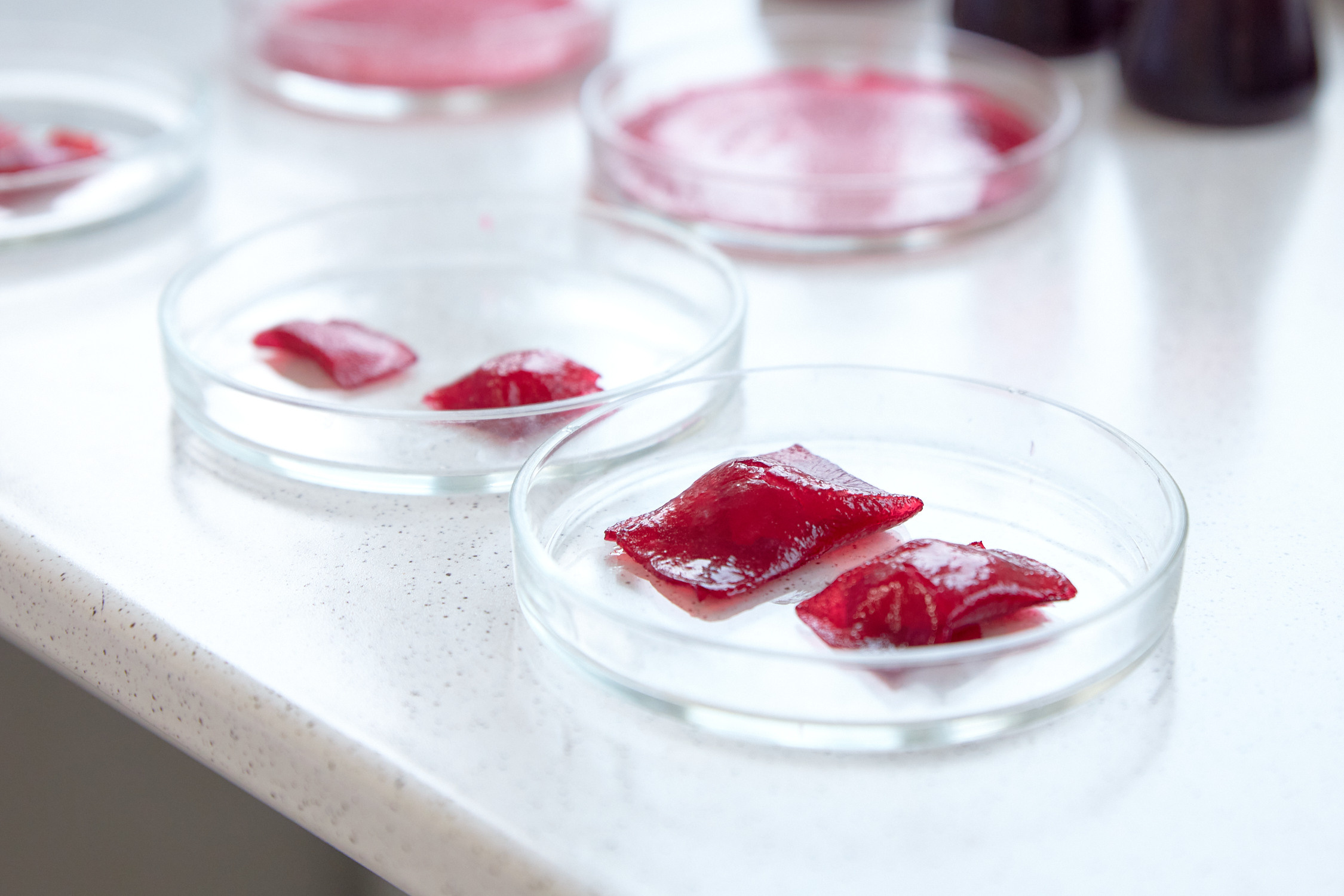 Лаборатории ДВФУ. Репортажный фотограф Владивосток Анастасия Сокольникова