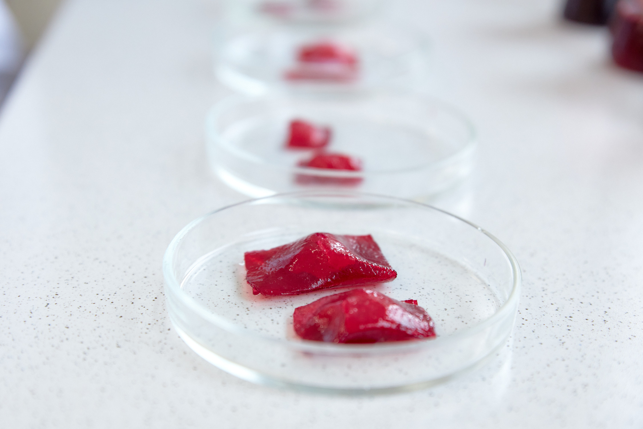 Лаборатории ДВФУ. Репортажный фотограф Владивосток Анастасия Сокольникова