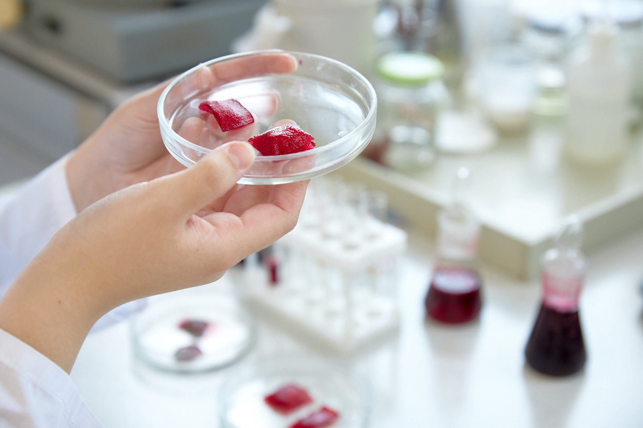 Лаборатории ДВФУ. Репортажный фотограф Владивосток Анастасия Сокольникова