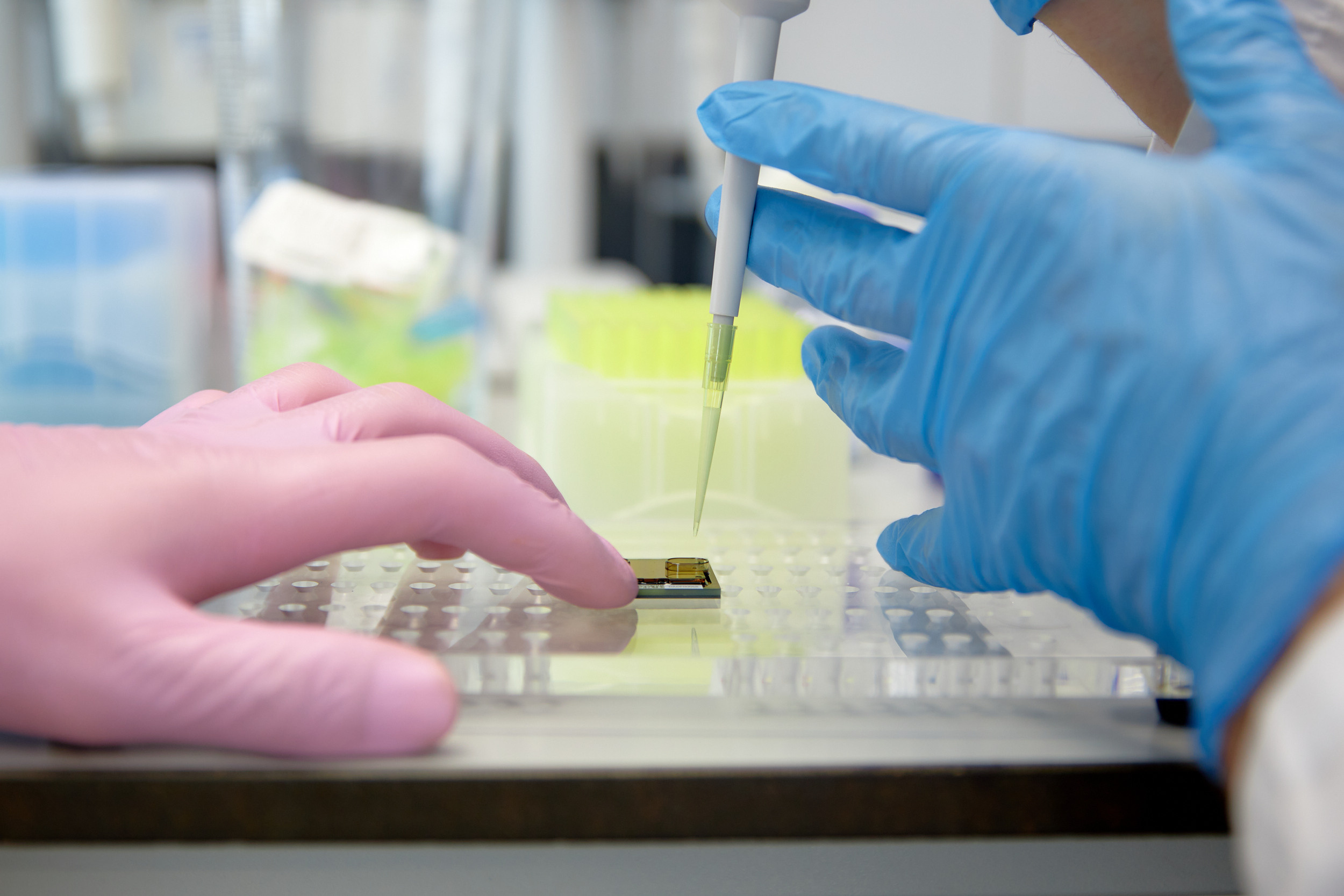 Лаборатории ДВФУ. Репортажный фотограф Владивосток Анастасия Сокольникова