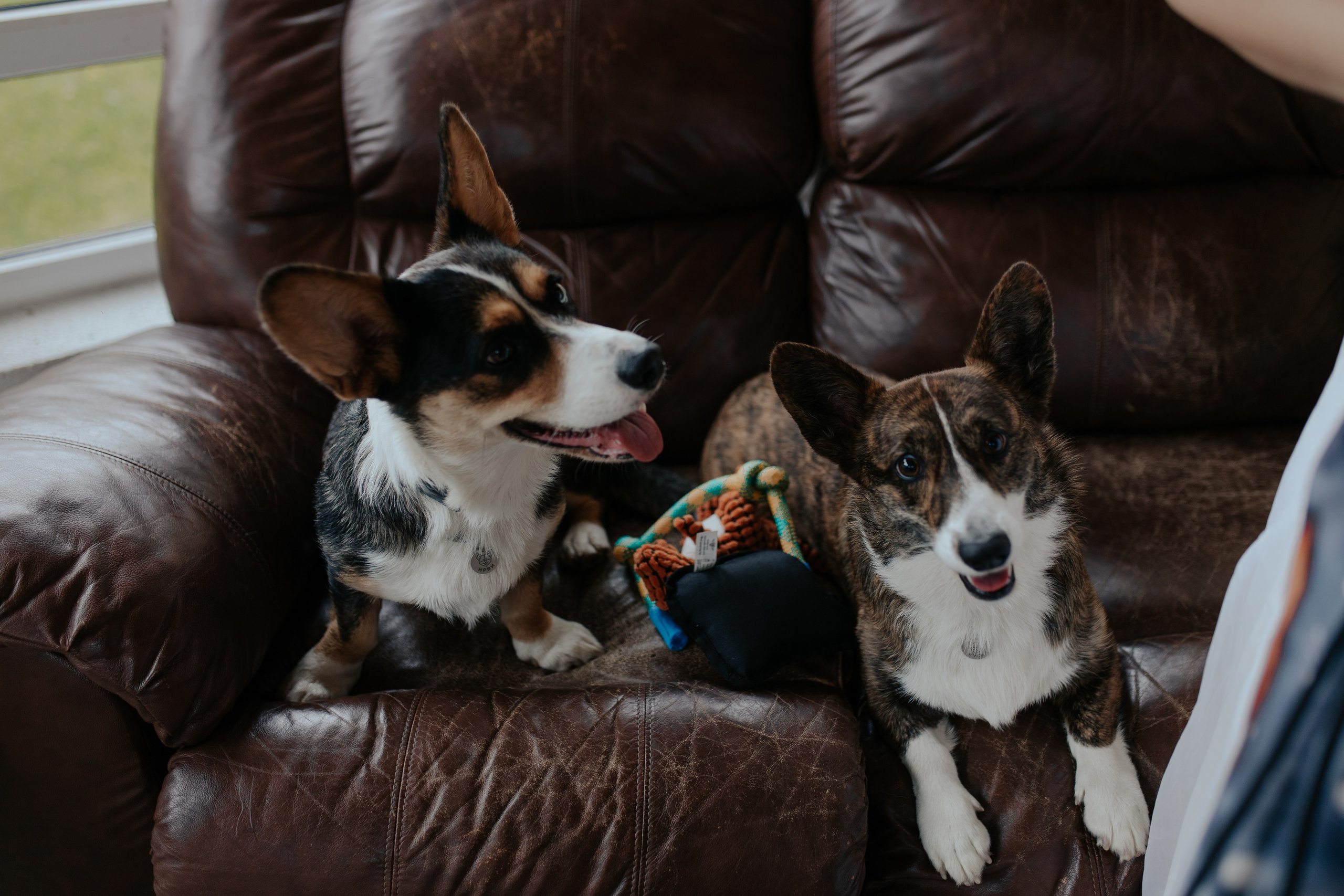 Ксения & Алексей. Фотограф в Санкт-Петербурге Лиза Семченкова