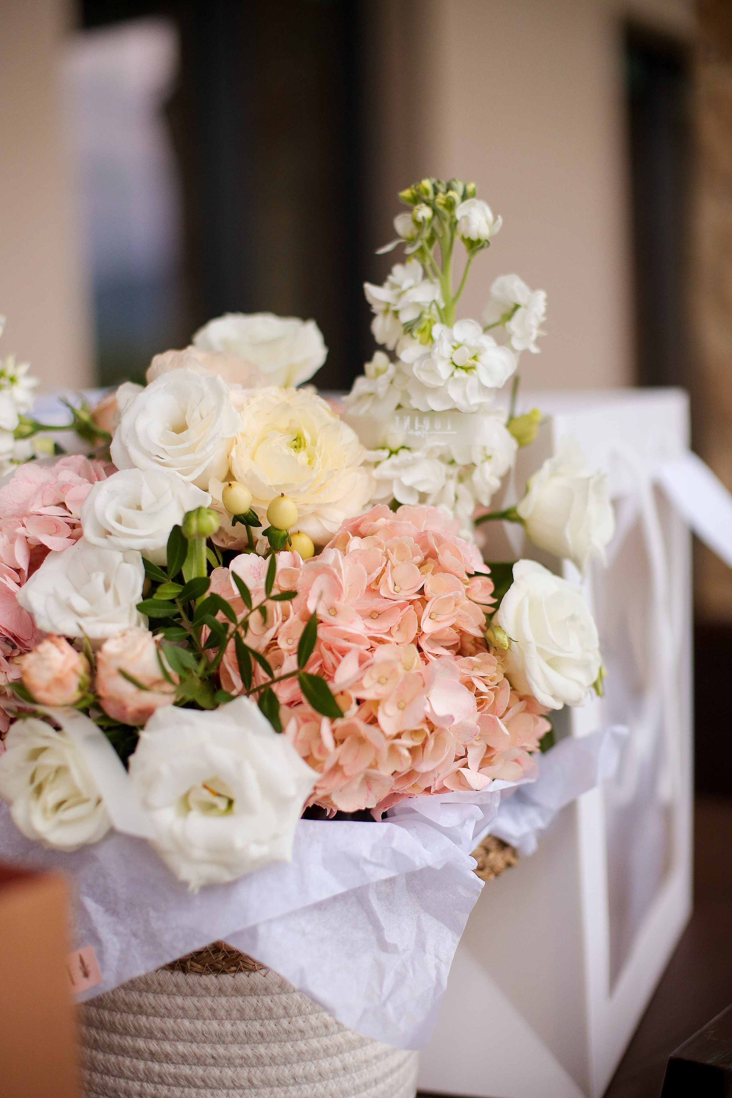 Мероприятия/ фотоотчеты. Фотограф в Анапе и Геленджике