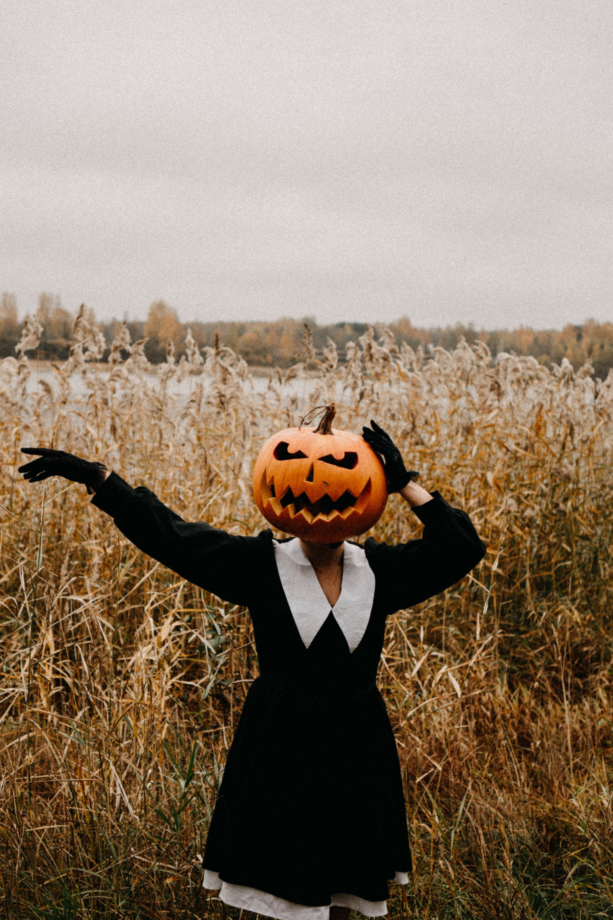 Осеняя. Профессиональный фотограф, Санкт-Петербург — Виктория Богомолова