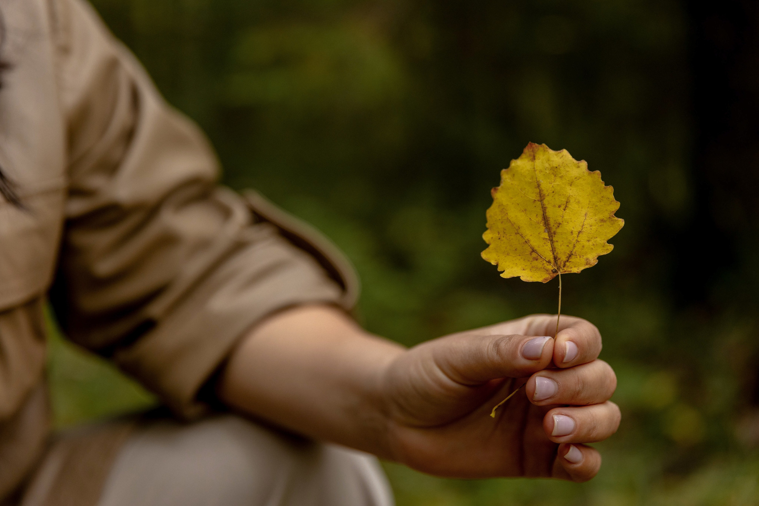 Лера. Свадебный и семейный фотограф в Карелии