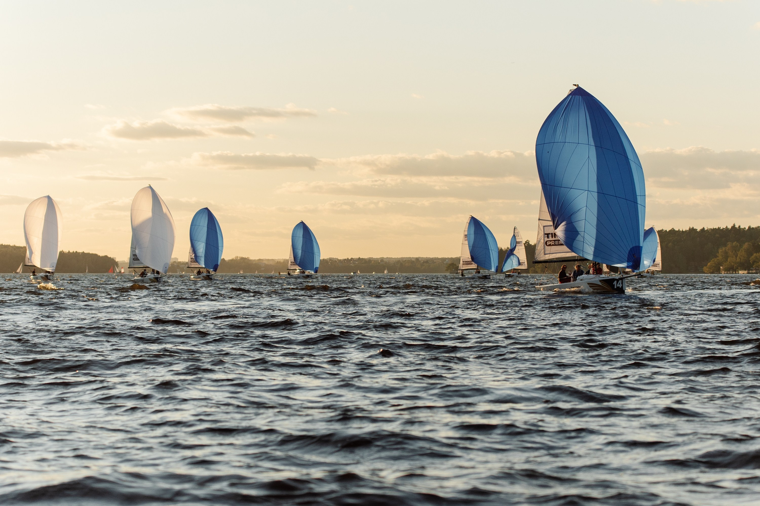 Корпоративный репортаж. Репортажный фотограф. Москва. Алина Ланская