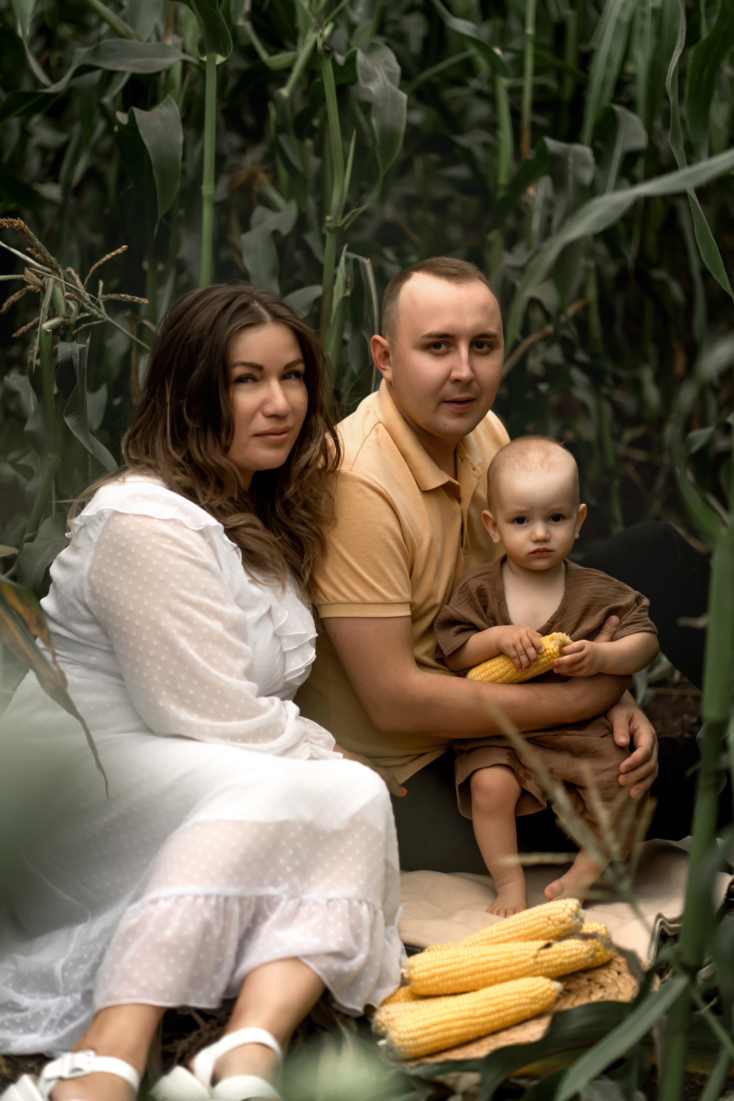 Прогулка в кукурузе. Фотограф в Красноярске. Юлия Чаушанская