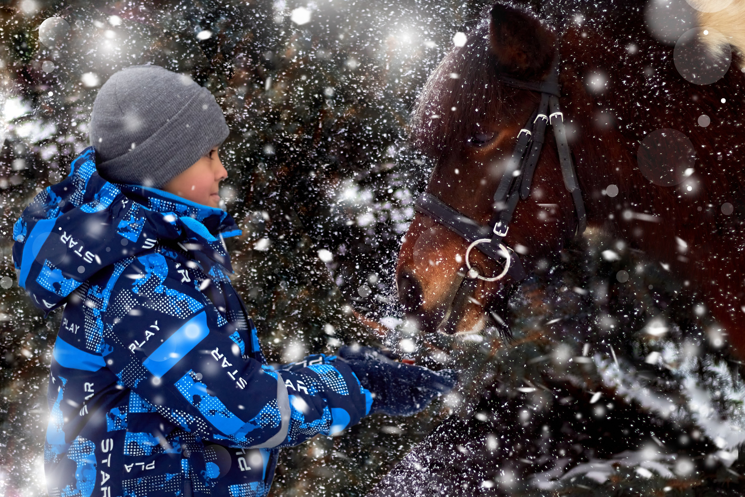 Фотосессии с лошадьми. Фотограф анималист — Тула, Москва