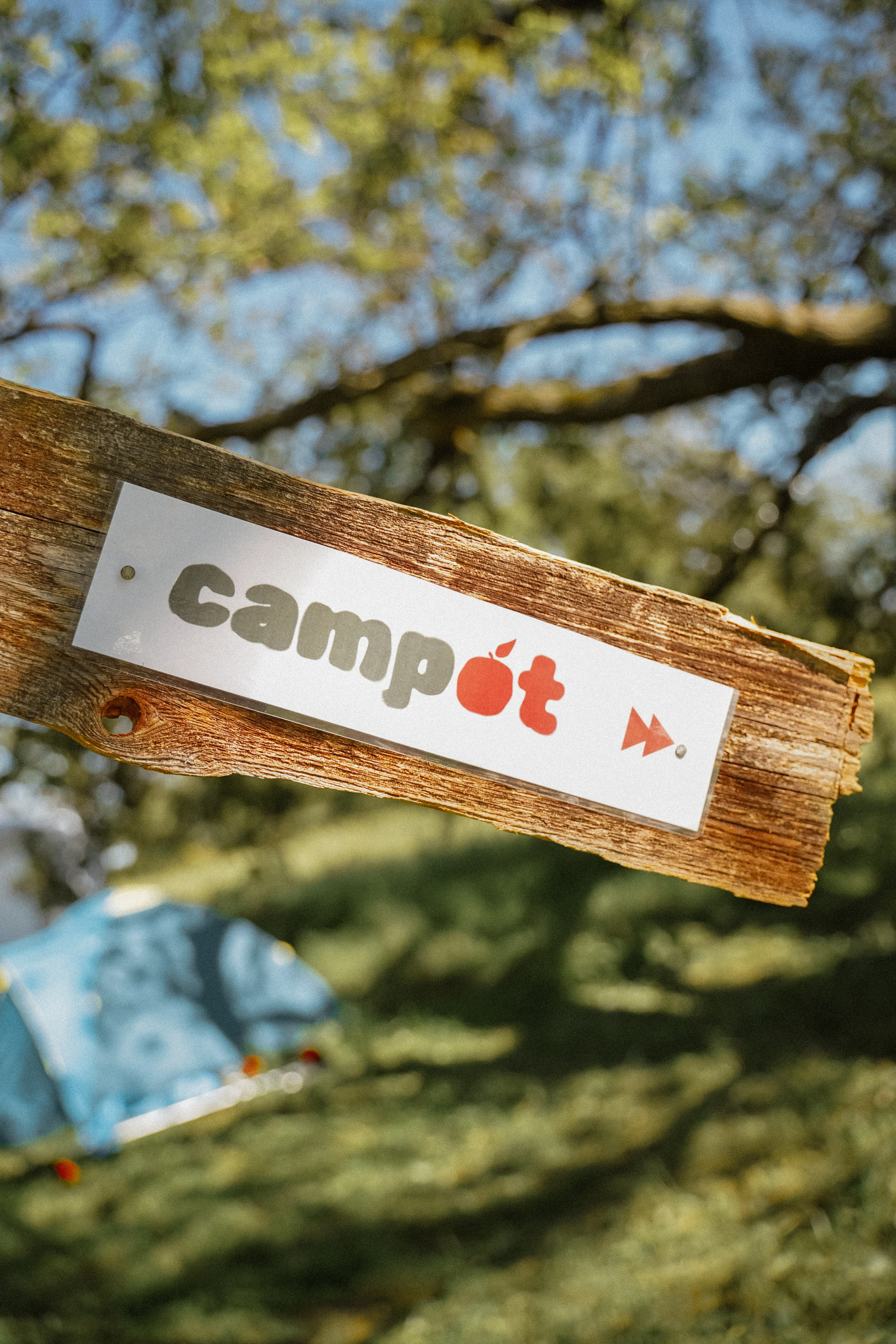 Палаточный форум для взрослых CAMPot 2024. Фотограф Надежда Погребняк | Рязань | Москва