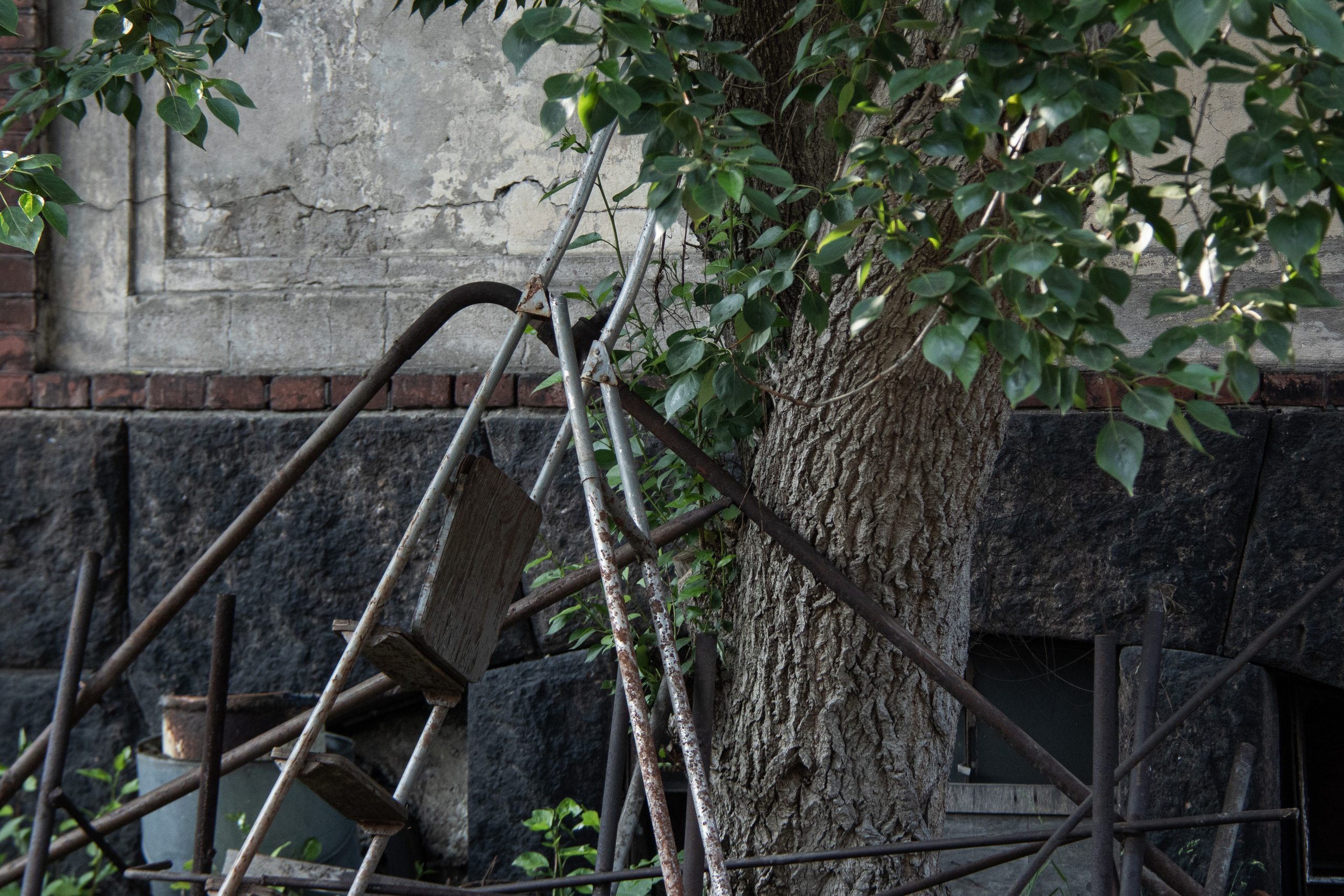 SNYT. An Alternative View of St. Petersburg’s Architecture. 2025. Janie valde |photographer & visual artist