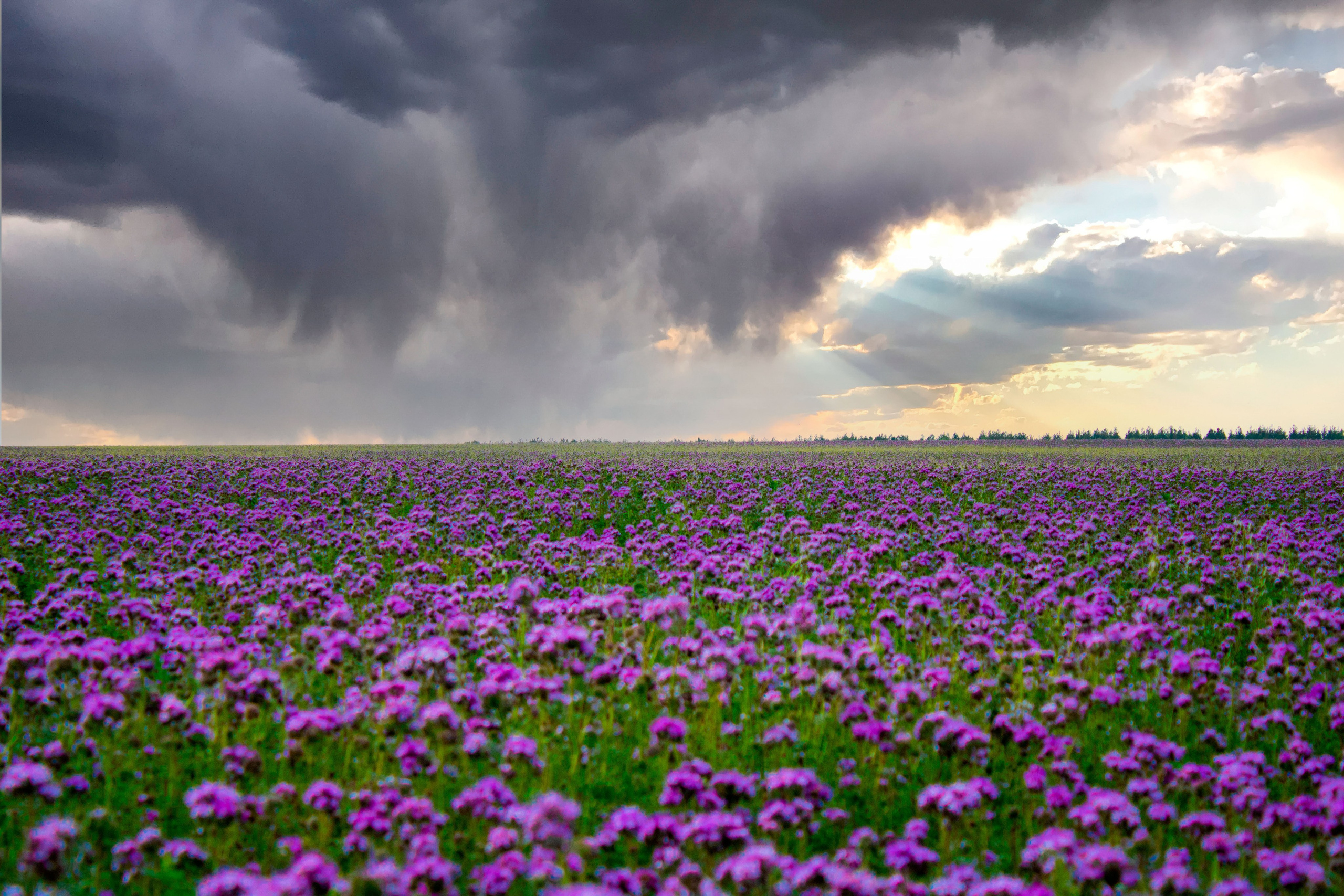 Вдохновение. Бутакова Елена фотограф в Екатеринбурге