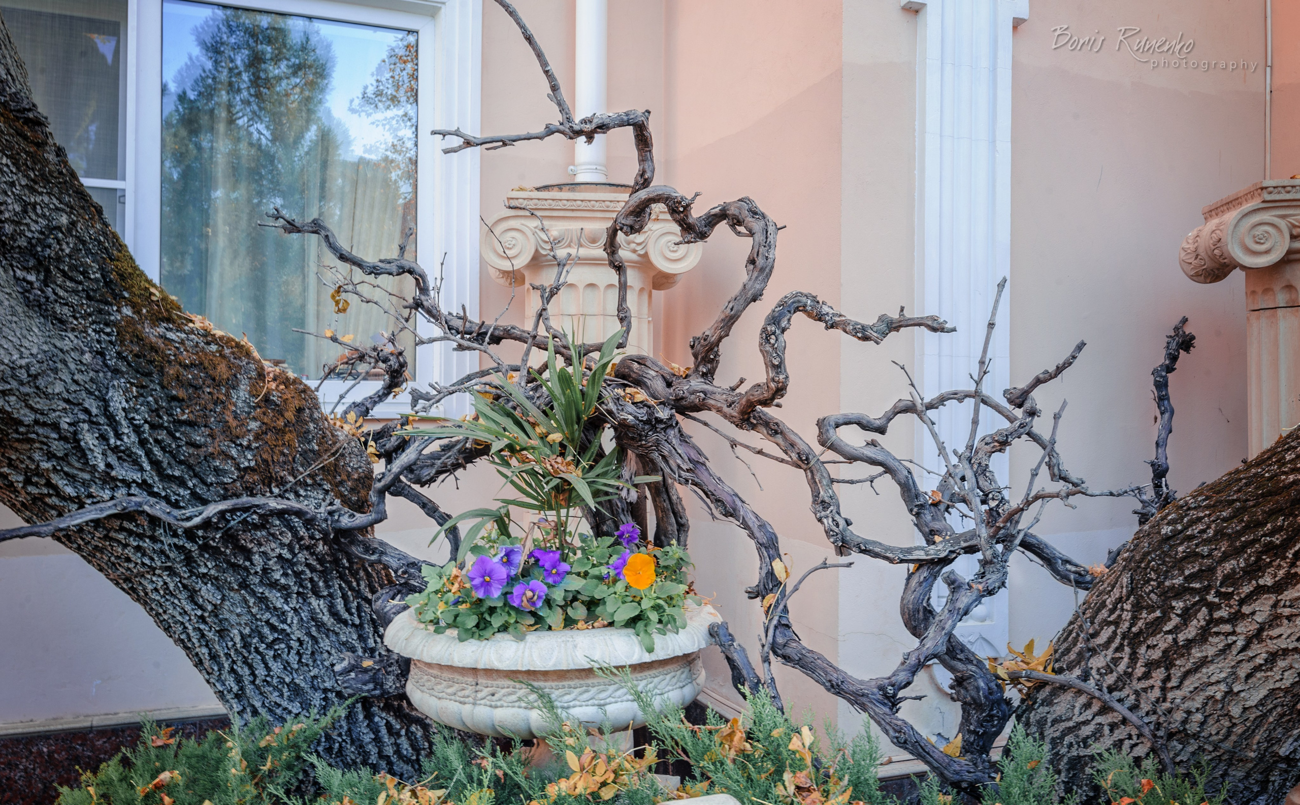 КАБАРДИНКА. СТАРЫЙ ПАРК. Борис Руненко. Пейзажный и travel-фотограф