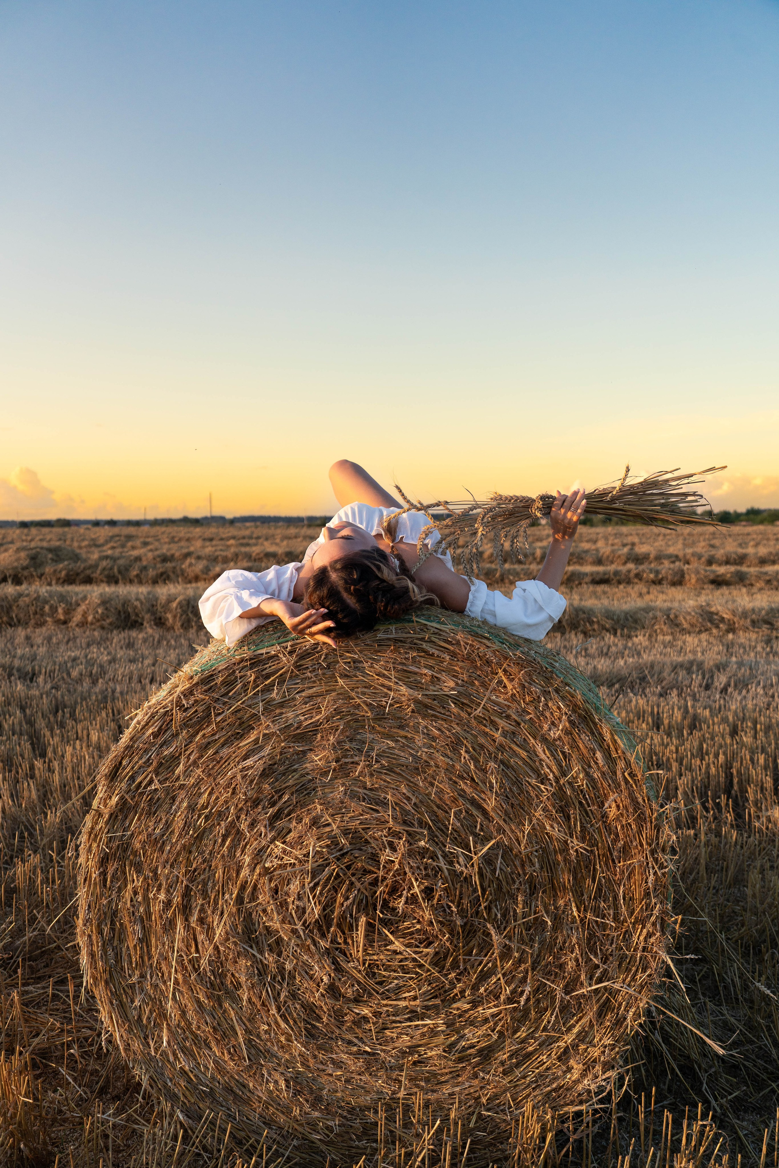 Пшеничные поля. Главная