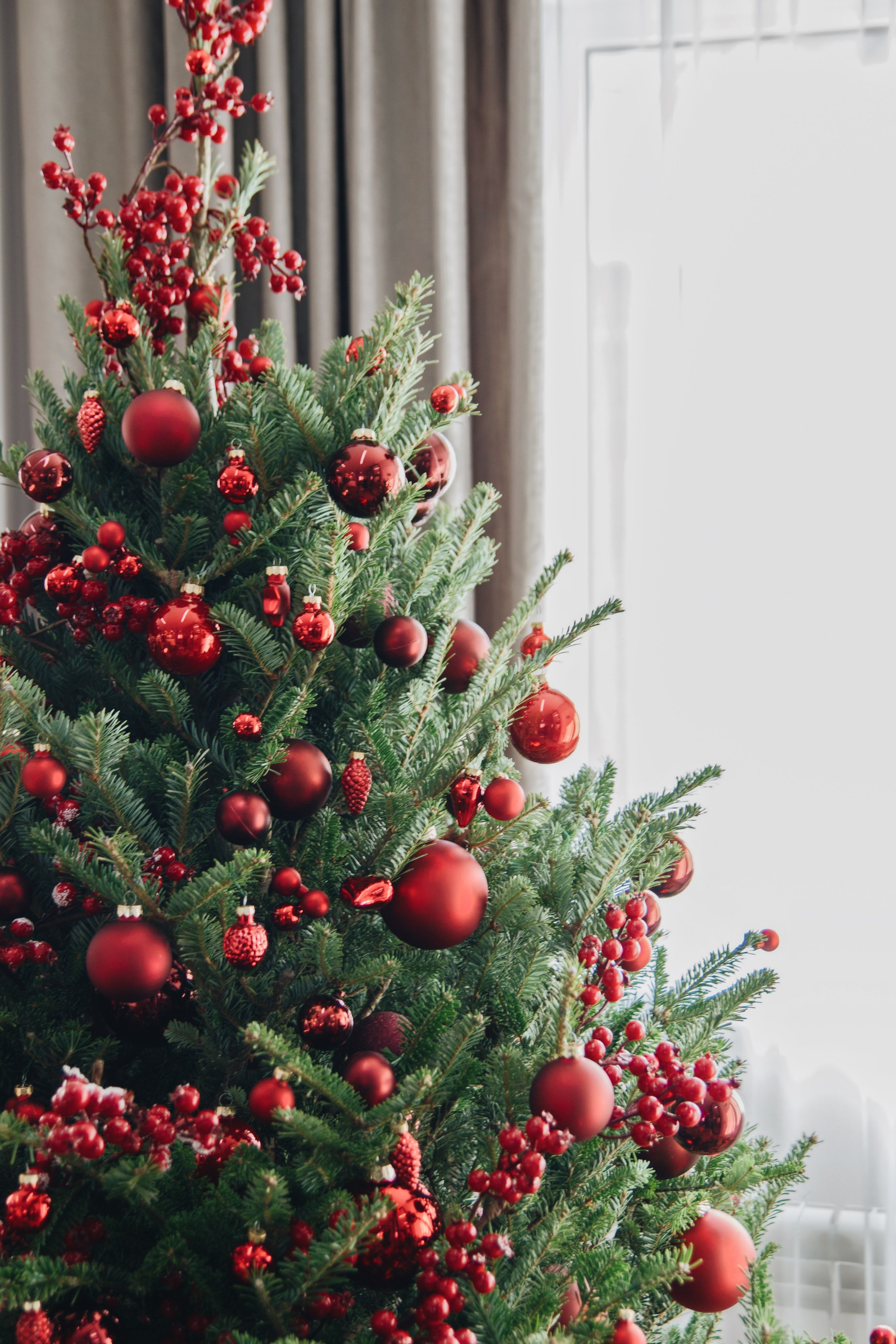 Тисс 2021. Ксения Почтарь. Декоратор и флорист, город Владивосток