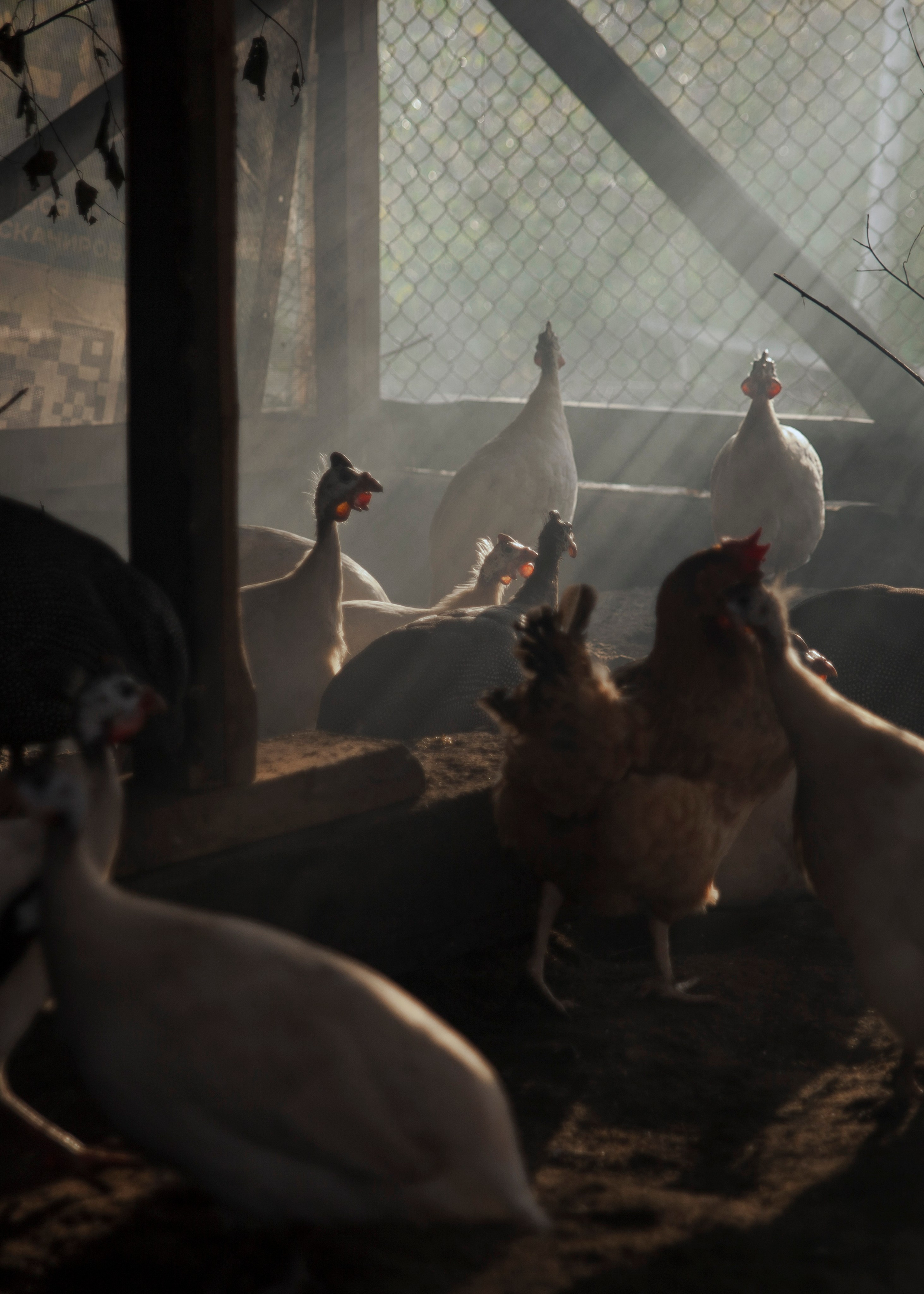 Backstage со съёмок фильма «Reverenсе». Портретный фотограф в Москве Дарья Цезария