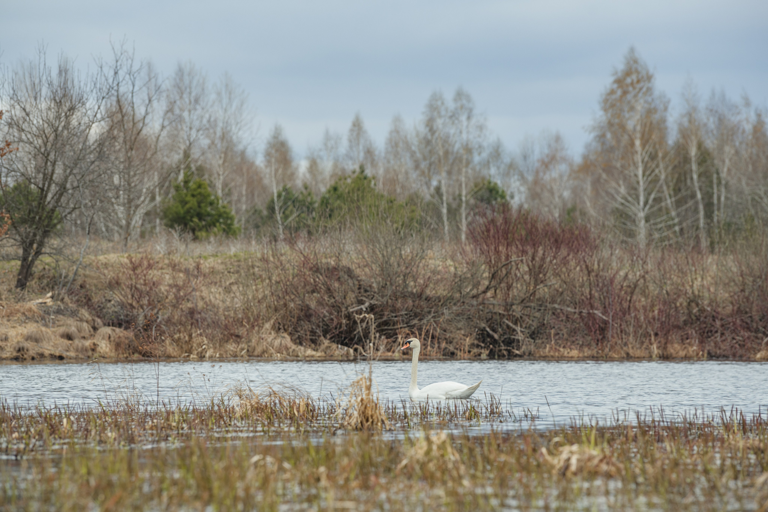 Разведка нового маршрута. Репортажный фотограф Владимир Беляй
