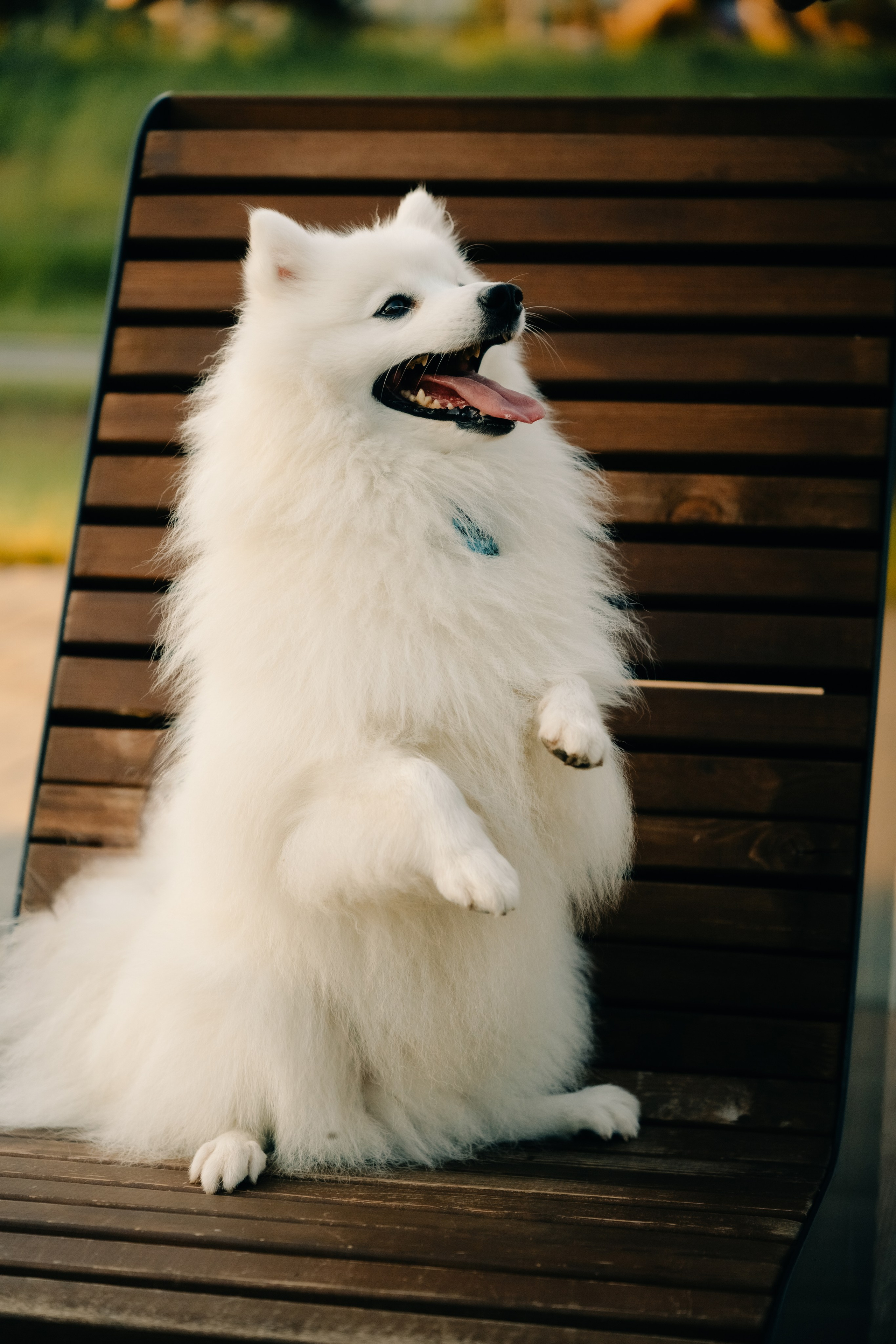 Зоопарк в моём багаже. Кошенкова Мария: портретный и репортажный фотограф. Санкт-Петербург