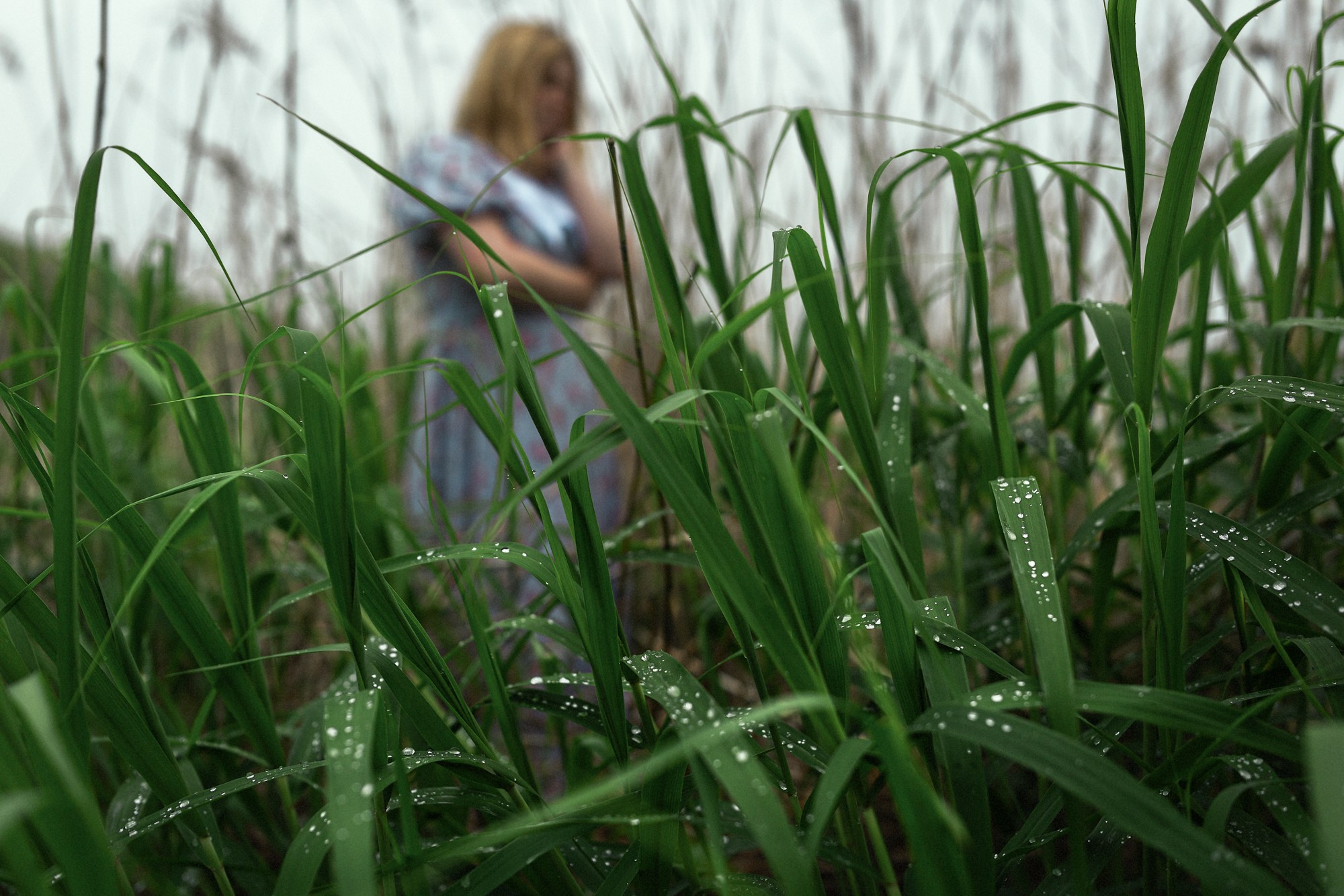 Уличная фотосессия. Андрей Кровлин — фотограф в Славянке