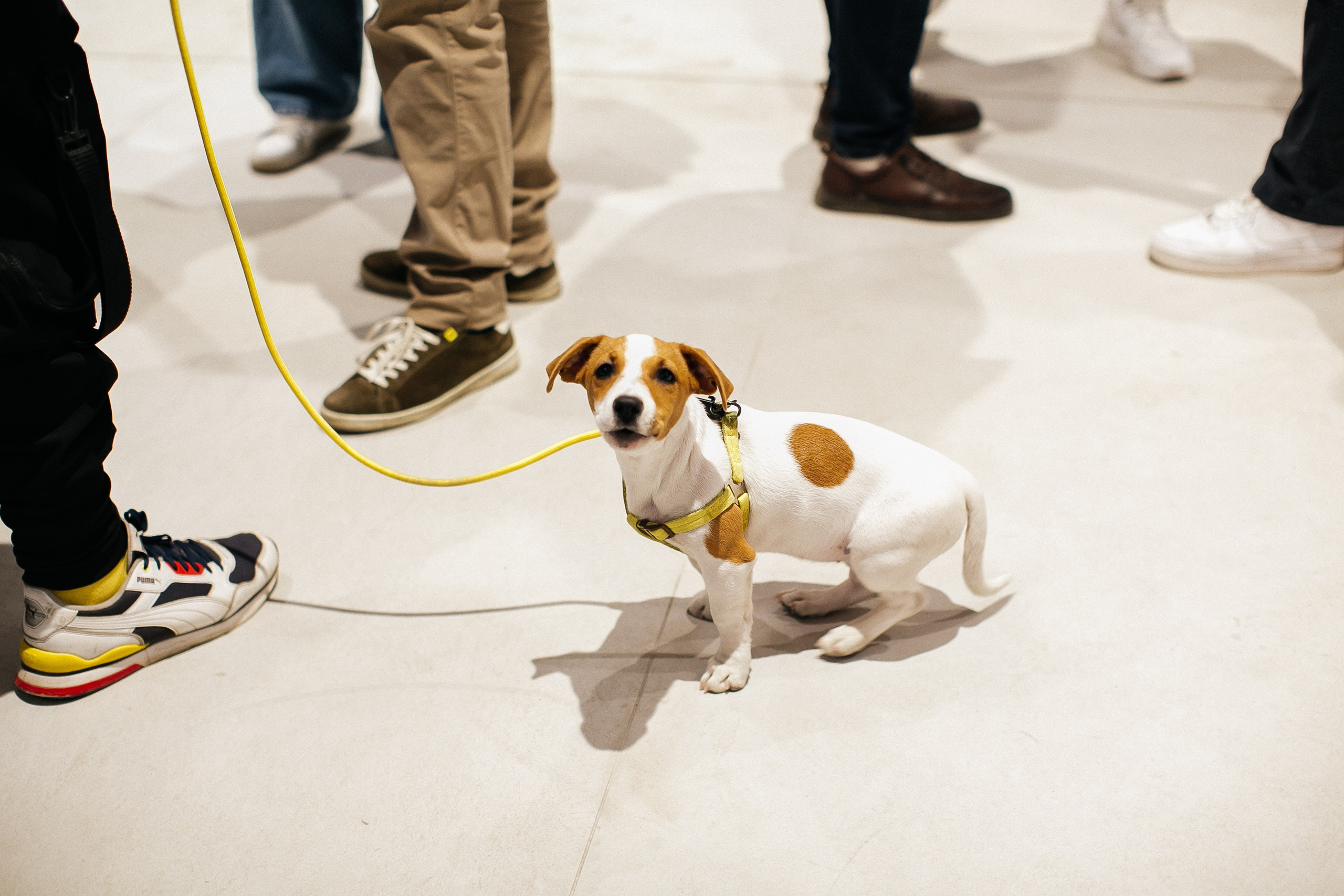 Инвест Конференция We Founder. Фотограф в Москве