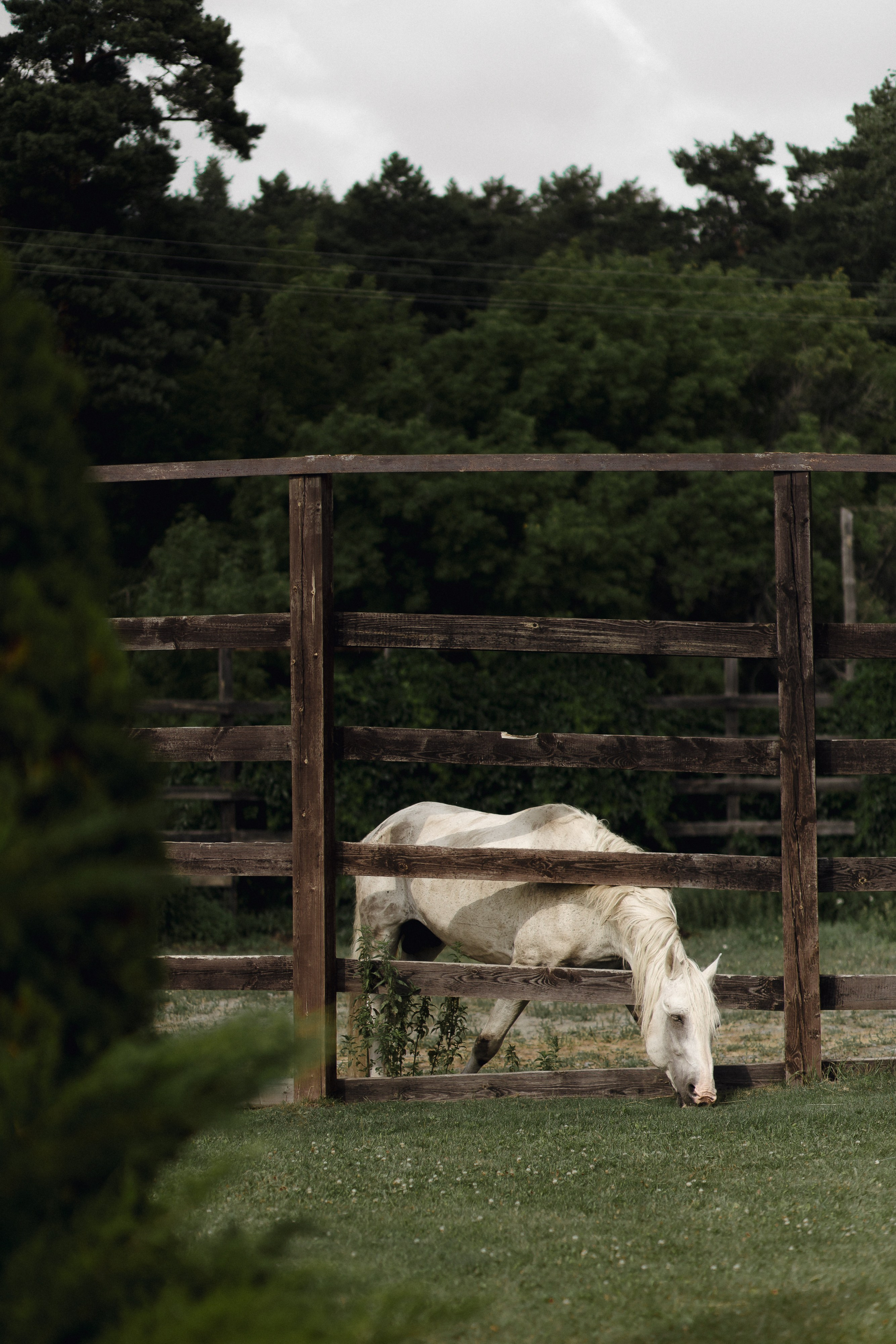 ОЛЬГА И ГЛЕБ, СВАДЕБНАЯ. Свадебный и индивидуальный фотограф в Челябинске Евгения Негодяева