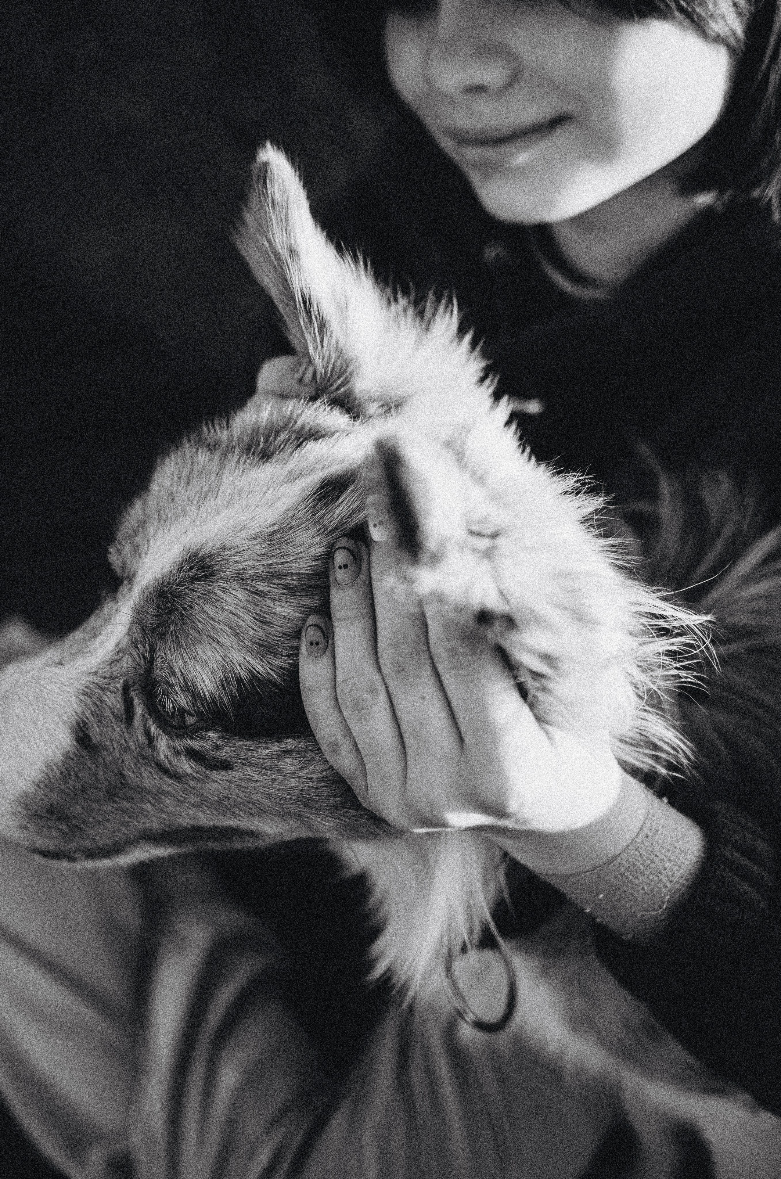 Аня и Дэймон. Фотограф-анималист Богданова Полина