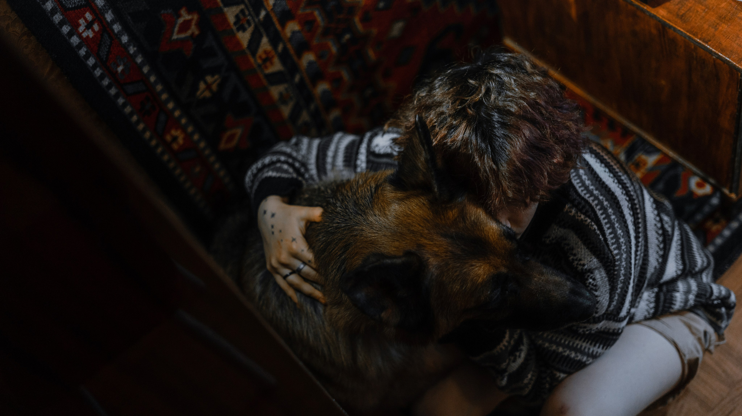 Лера, Реджи и Ральф. Фотограф-анималист Богданова Полина