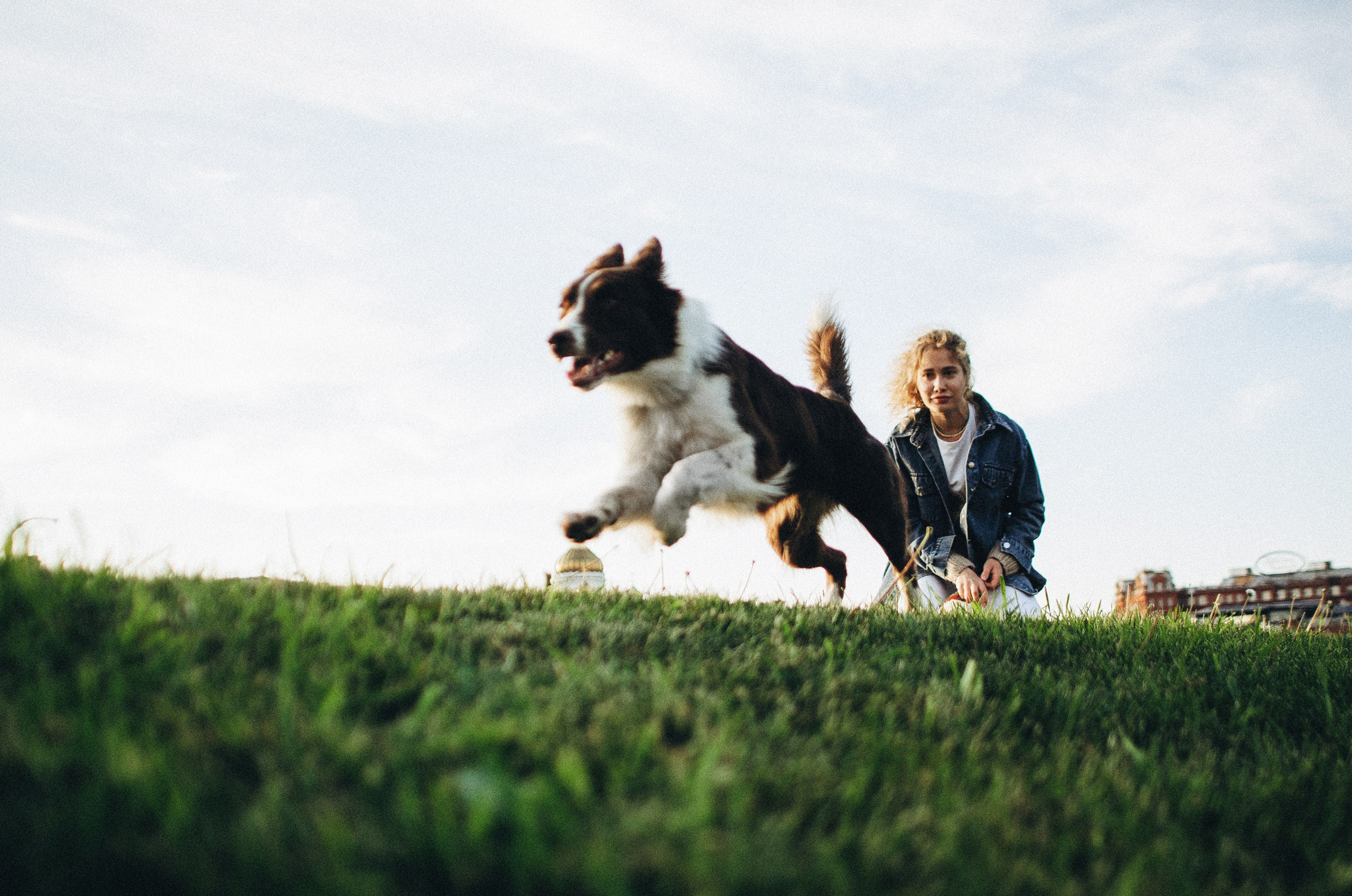 Лиза и Эни. Фотограф-анималист Богданова Полина