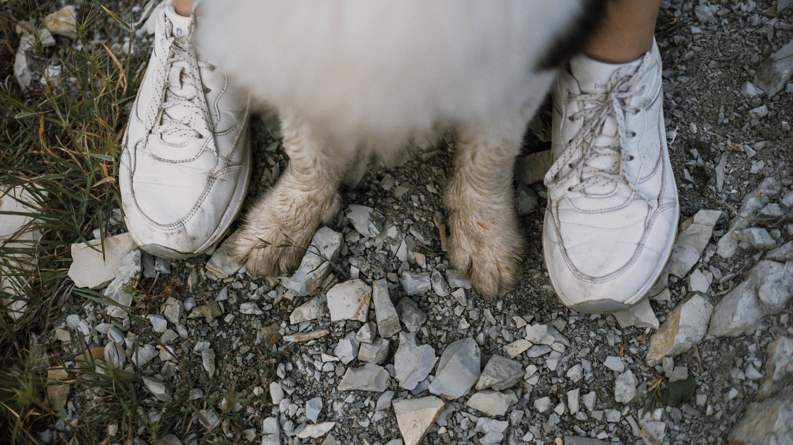 Ира и Джесс. Фотограф-анималист Богданова Полина