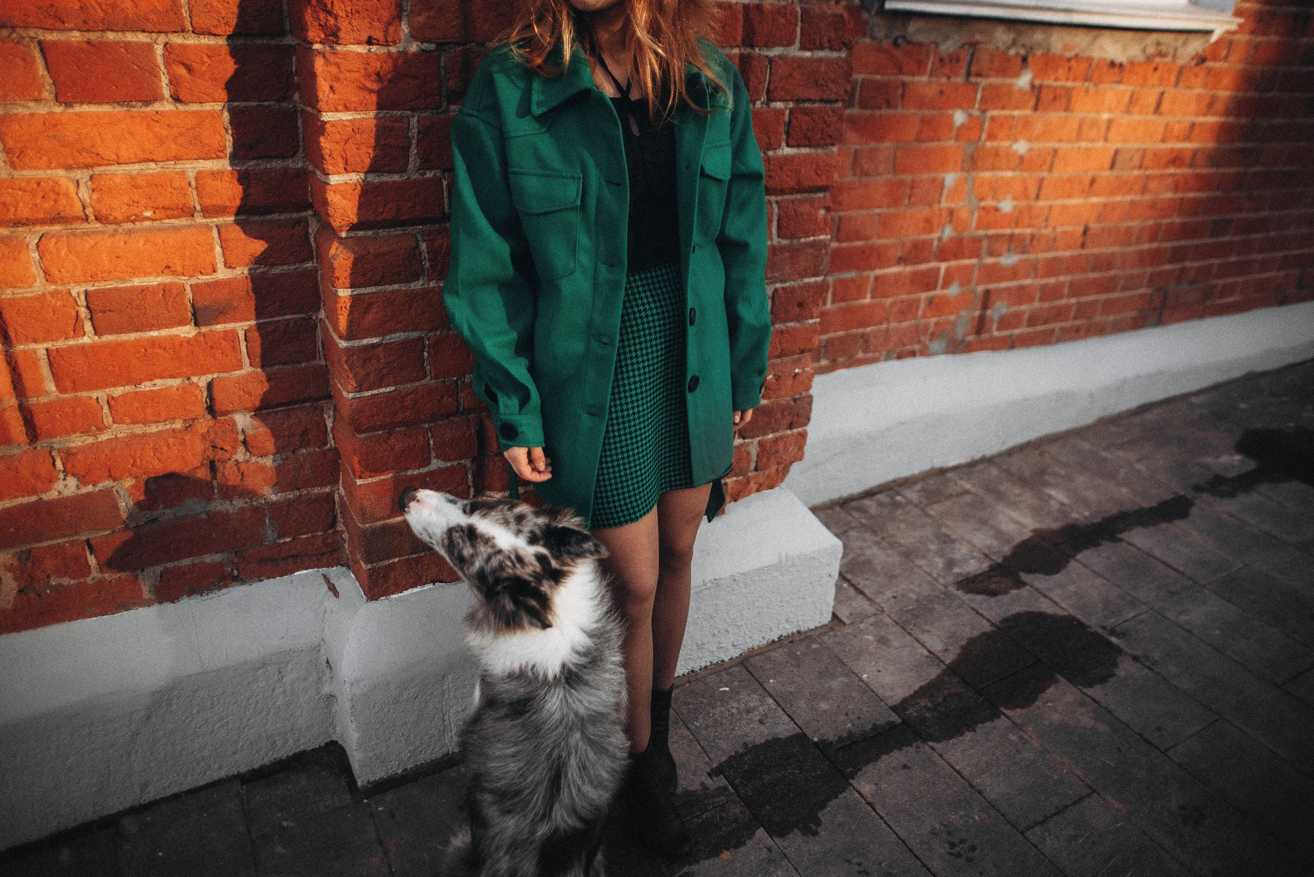 Диана и Робин. Фотограф-анималист Богданова Полина