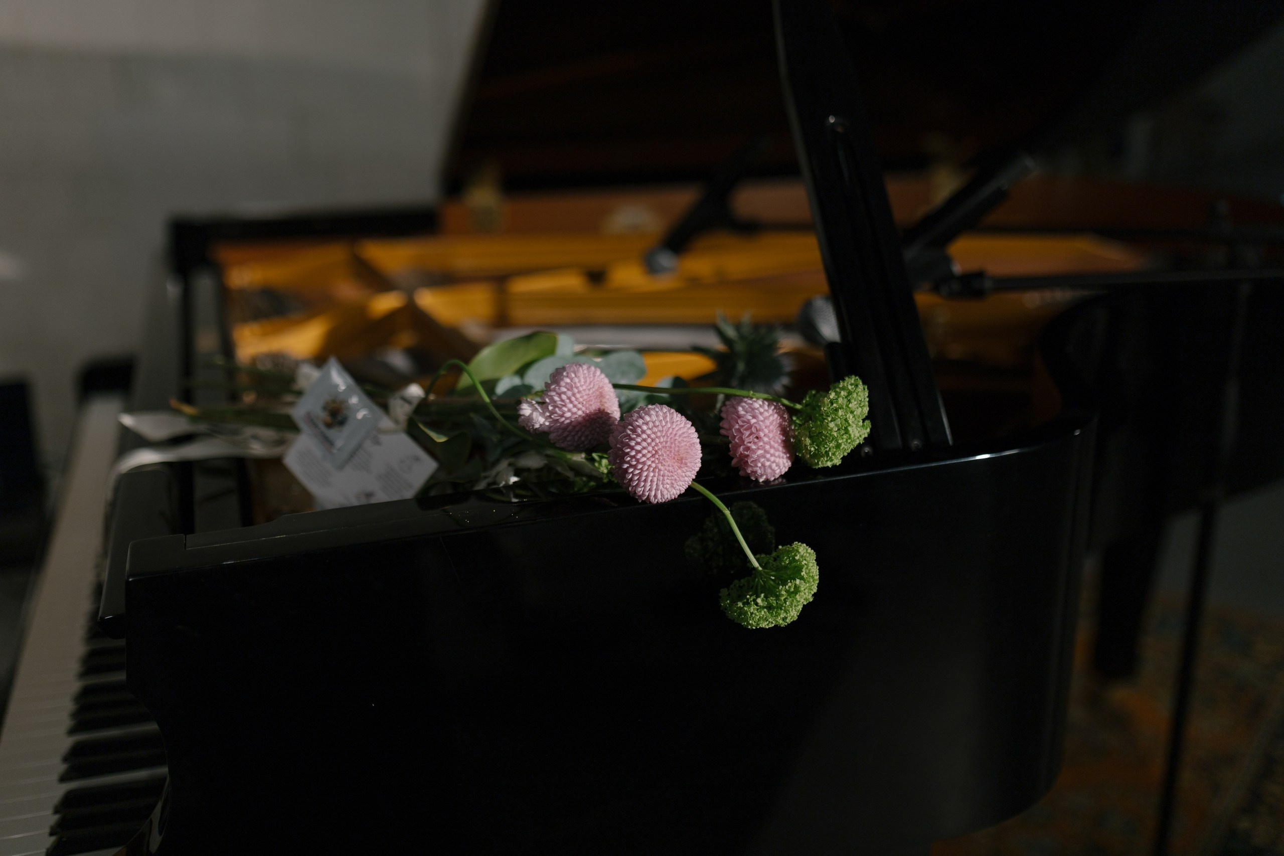 Концерт Риада Маммадова. In Tempore. Искусство импровизации. Фотограф мероприятий, персональные съемки в Москве Владиславлева Настя