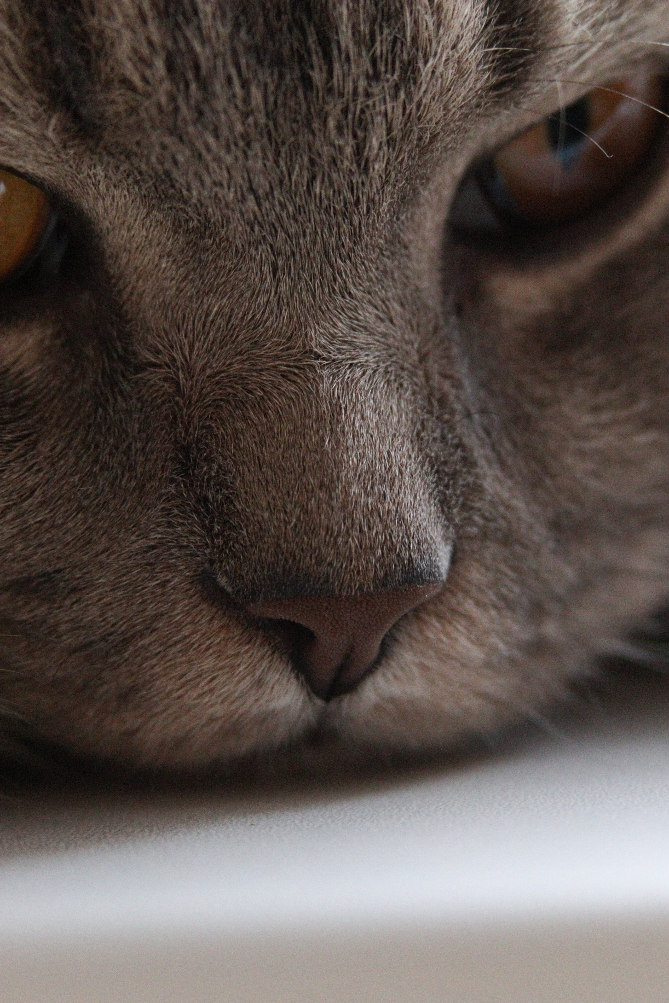 М А Р Т И Н. — Digital Noise —