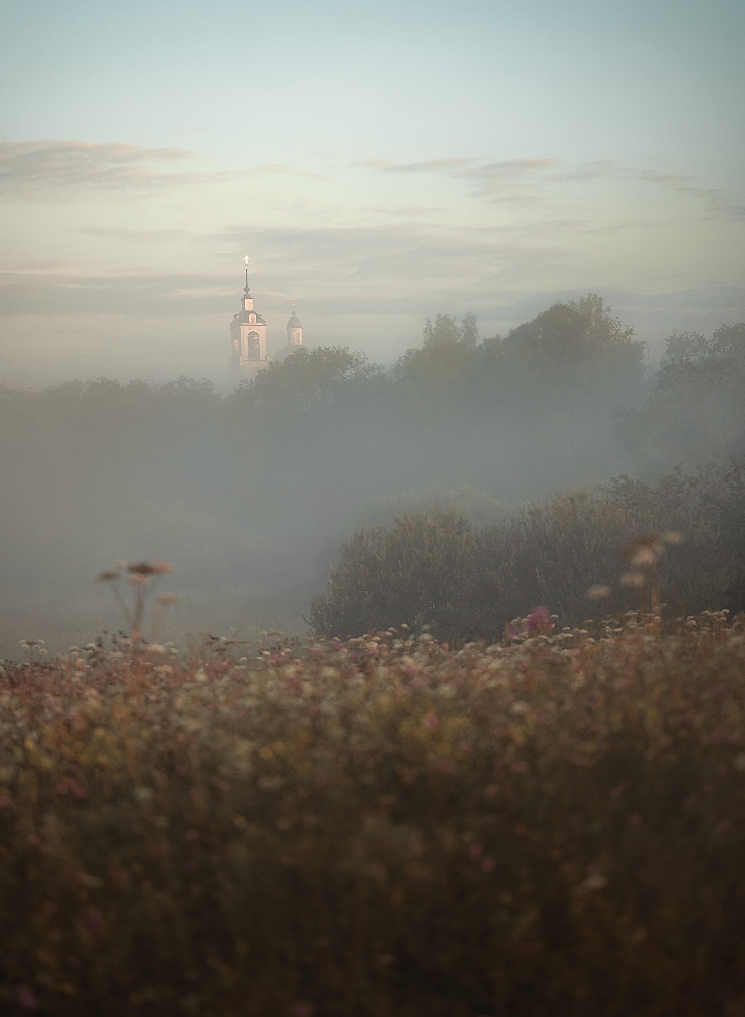 Ты меня на рассвете разбудишь…. Детский и семейный фотограф