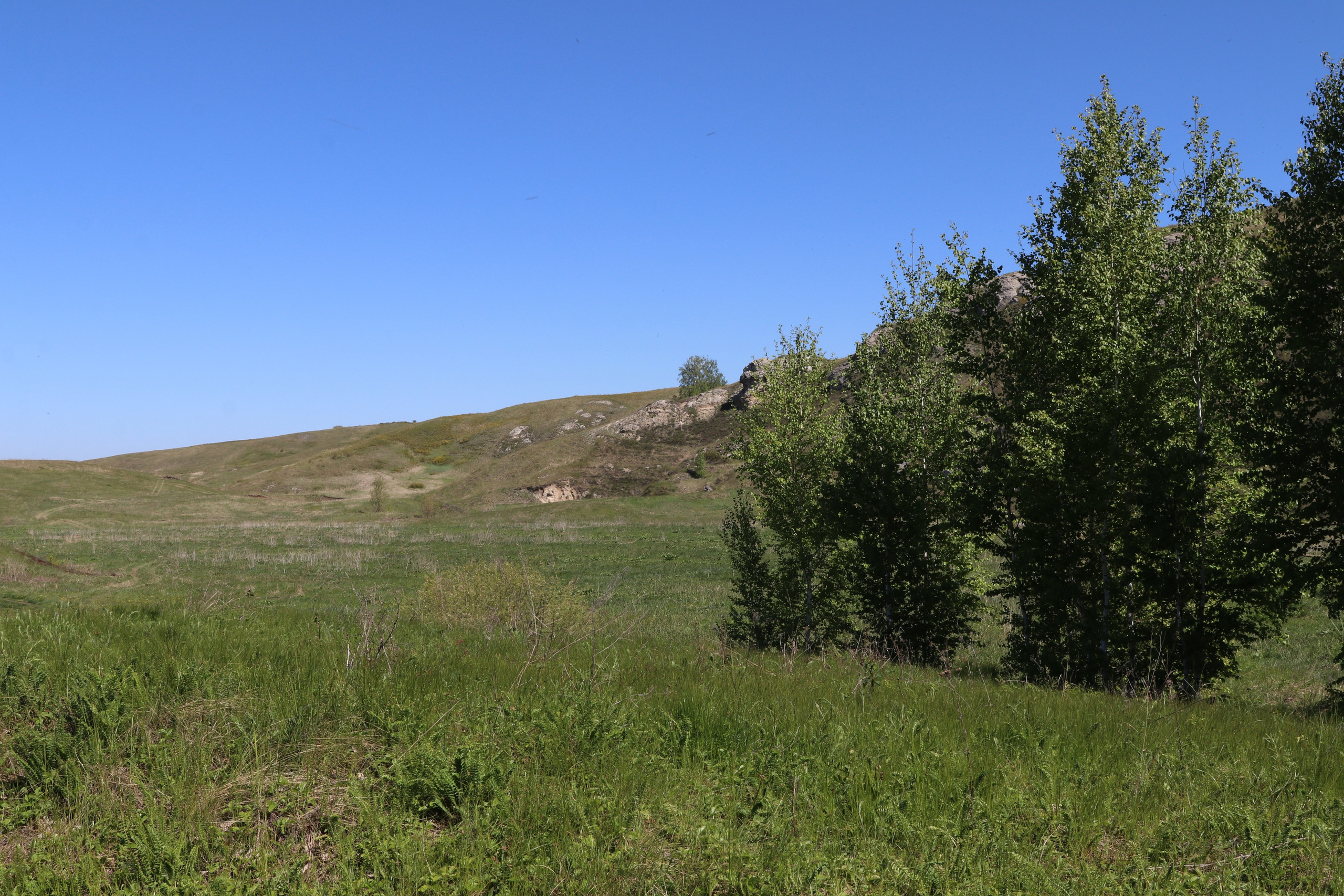 Велопоход Уфа — Мелеуз. Май 2024. Путешественник-фотограф из Санкт-Петербурга Татьяна Свистулина