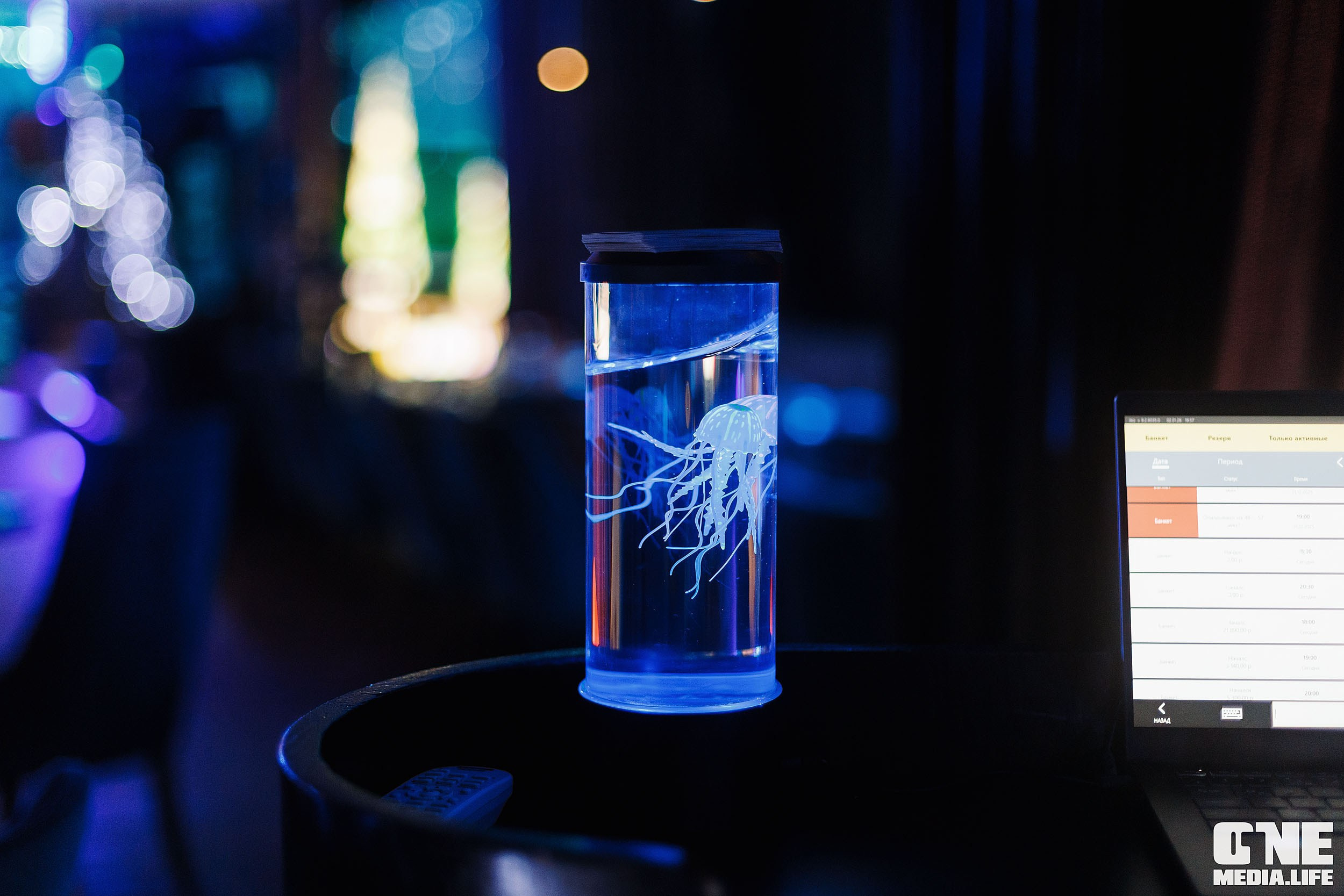 Фоторепортаж из ресторана Океан. One Media Life: фоторепортажи, фотоотчеты с мероприятий и заведений