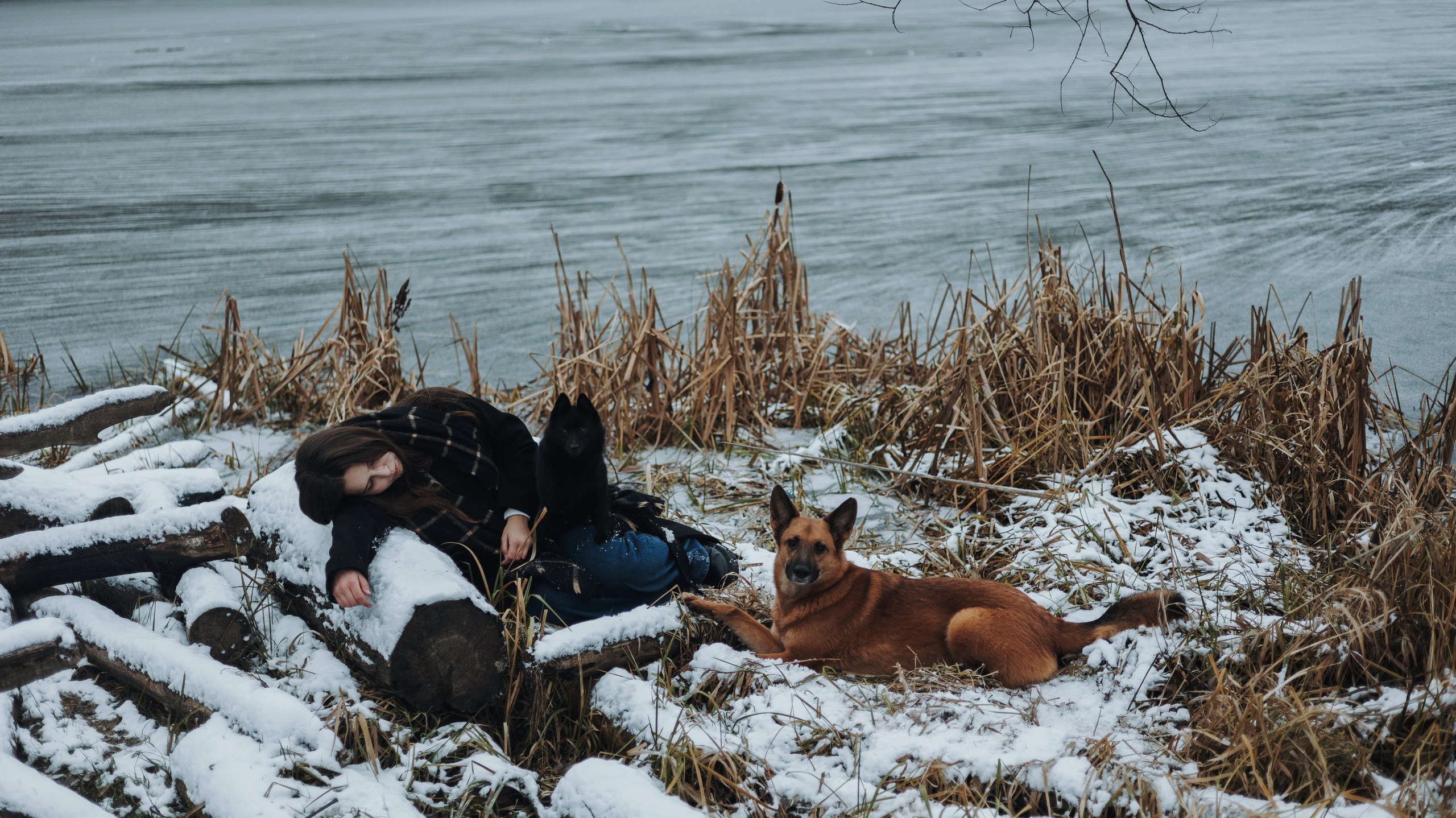 Юля, Лара и Йоми. Фотограф-анималист Богданова Полина