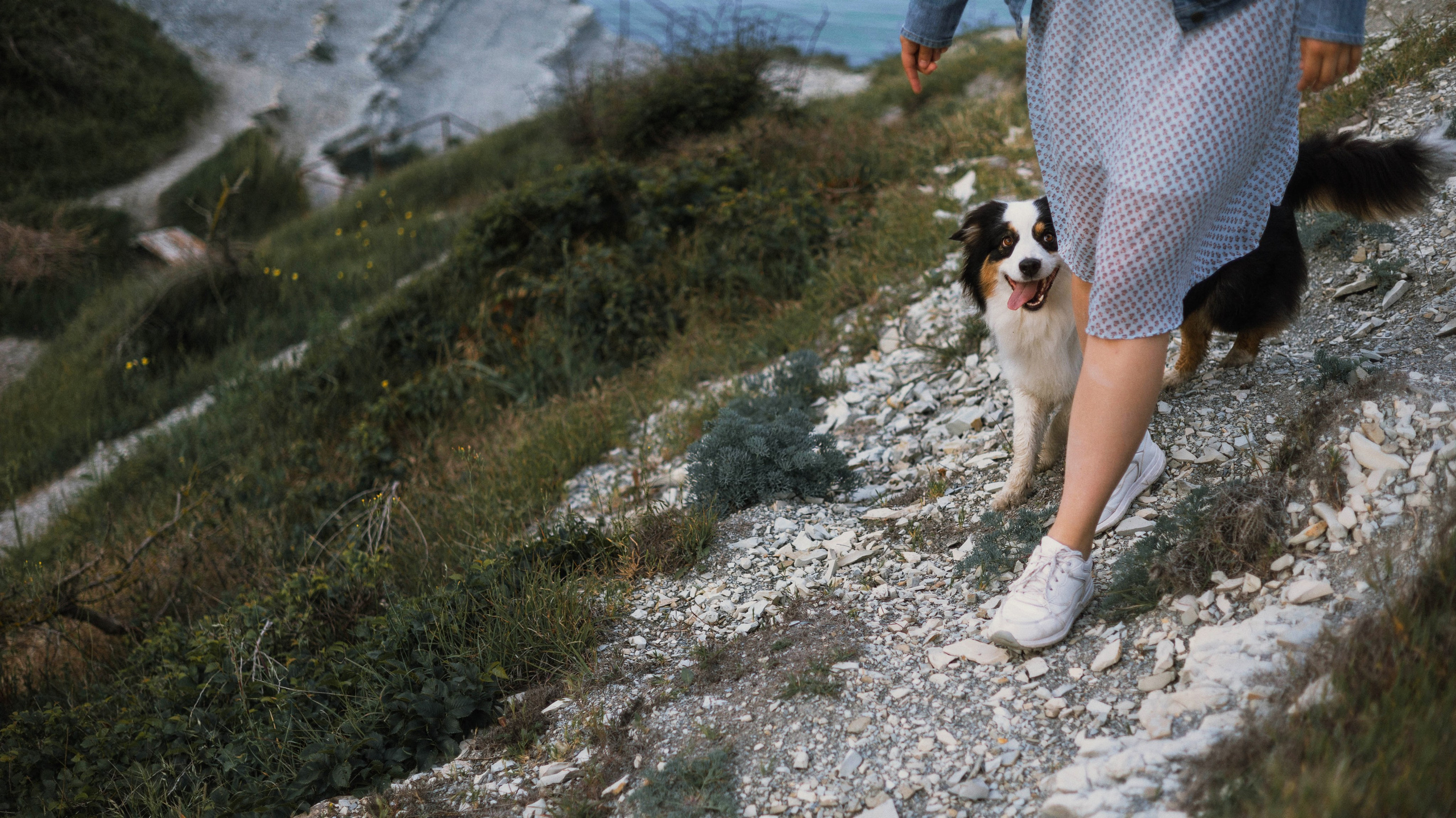 Ира и Джесс. Фотограф-анималист Богданова Полина