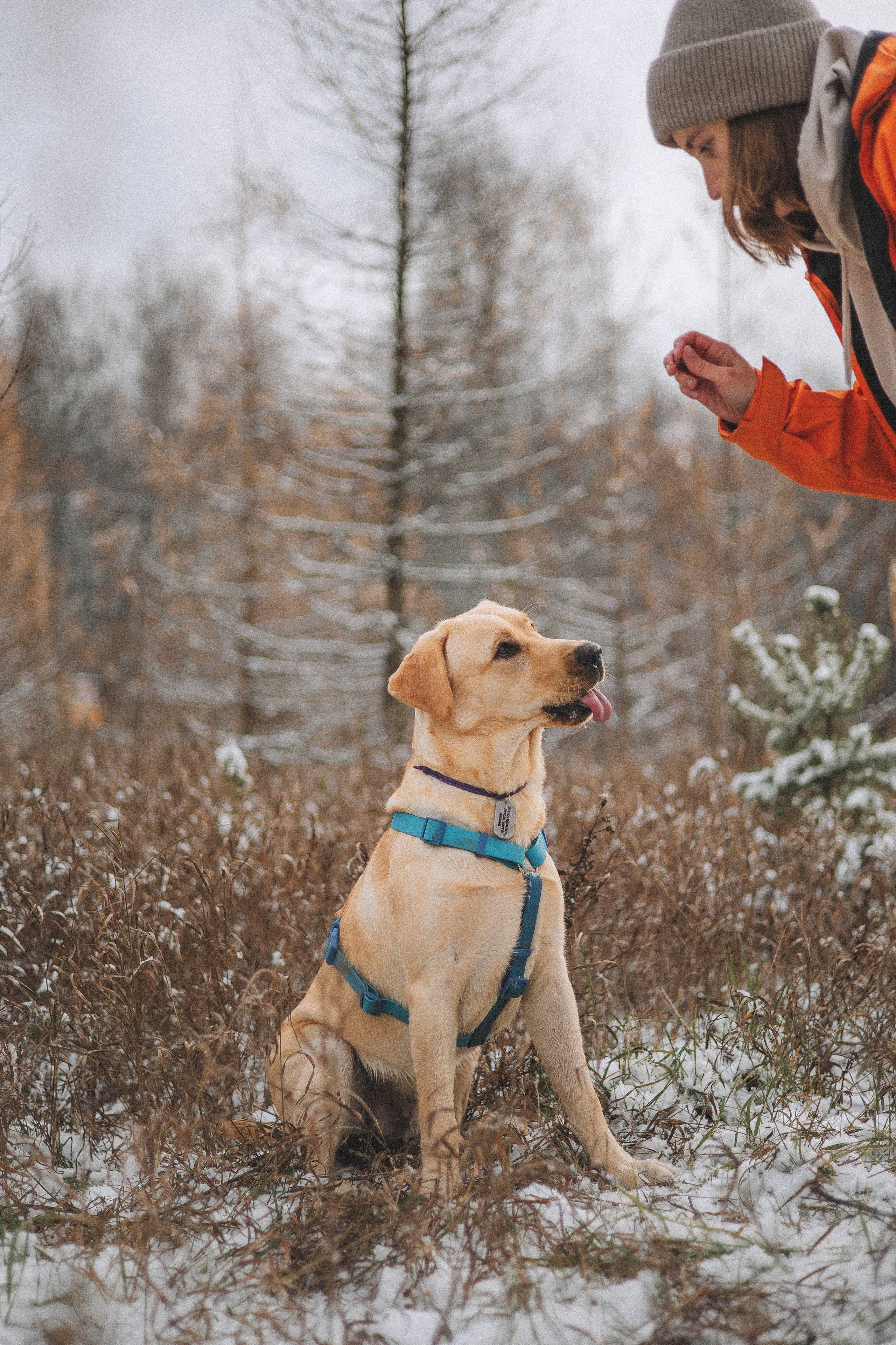 Маргарита и Варди. Фотограф-анималист Богданова Полина