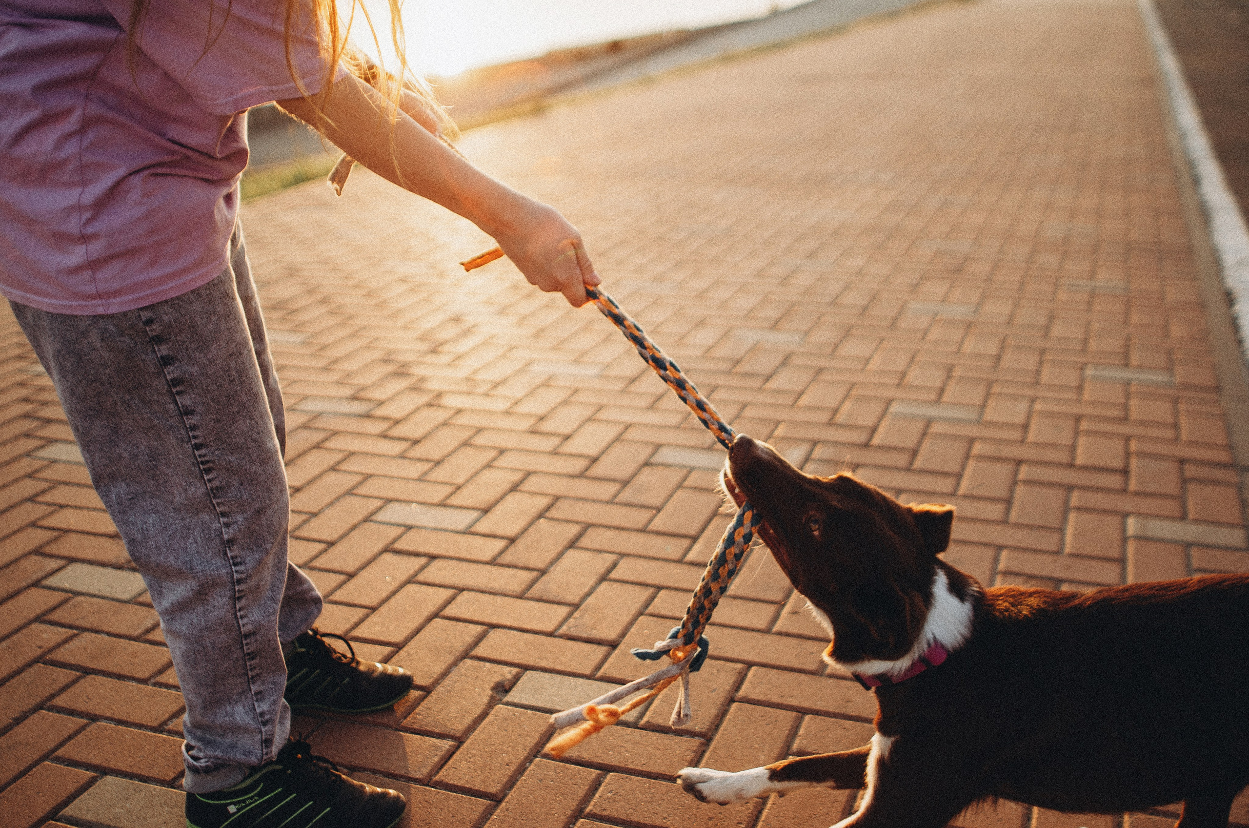 Вика и Эсса. Фотограф-анималист Богданова Полина