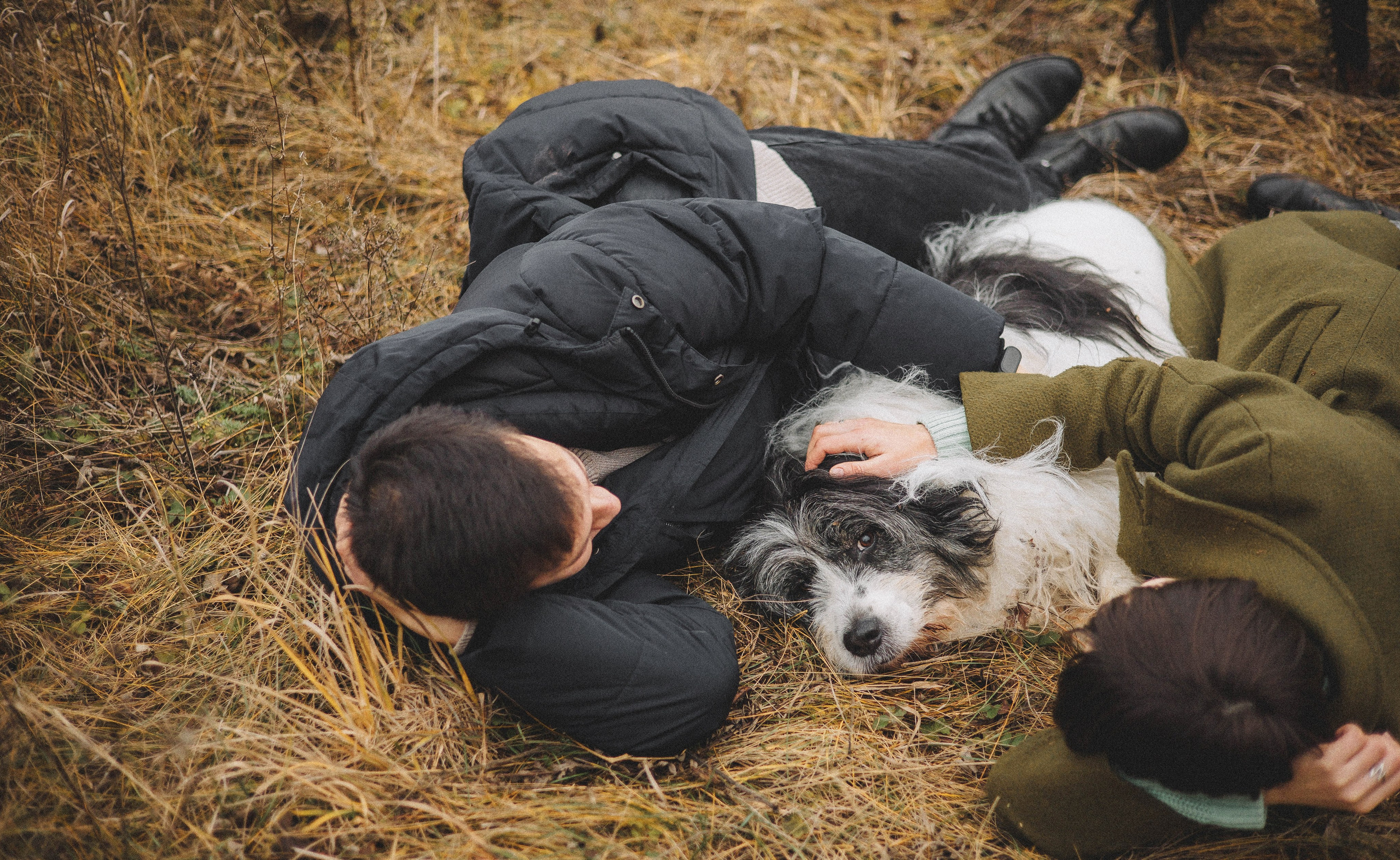 Даша, Глеб, Барс и Бруно. Фотограф-анималист Богданова Полина