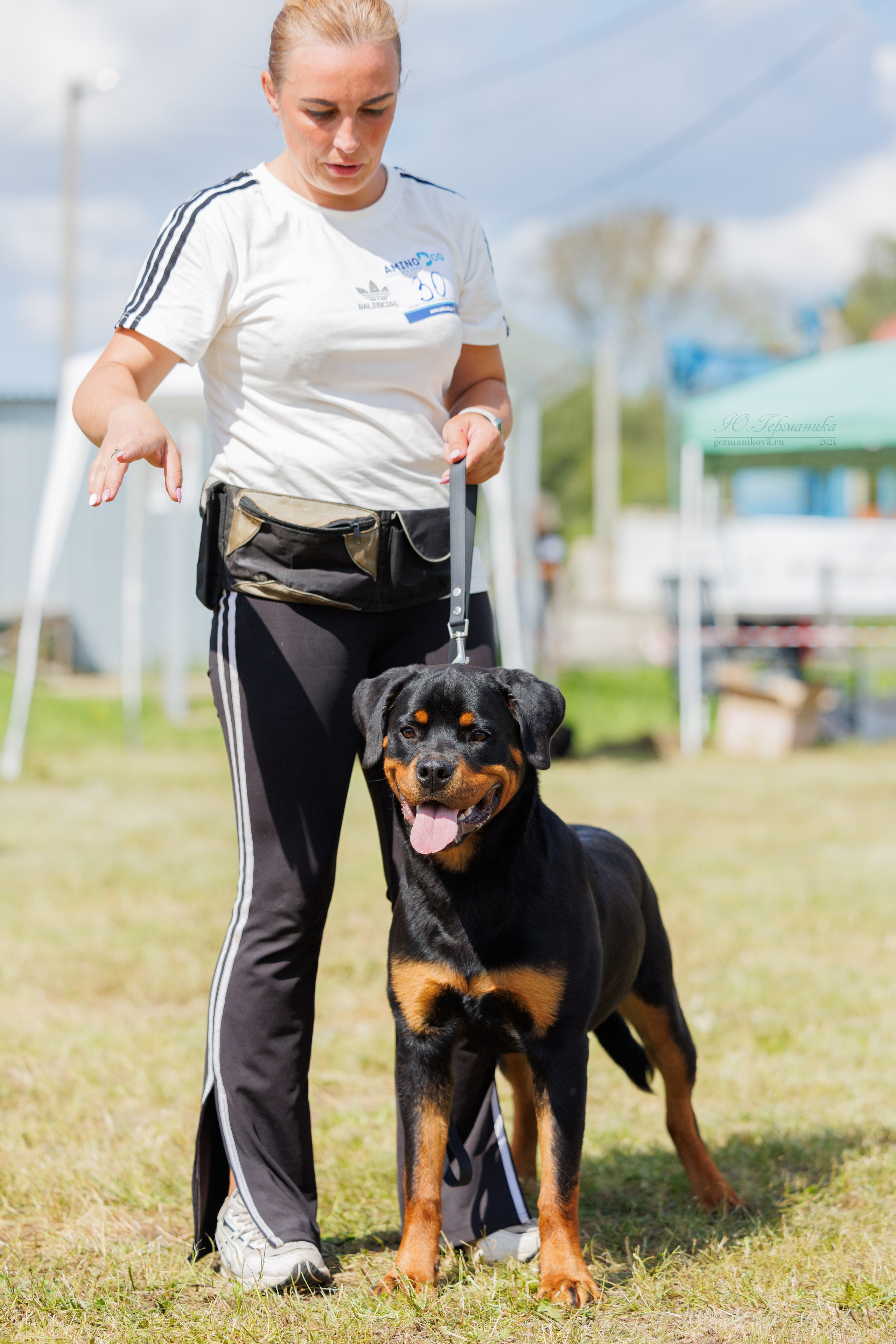 Рязань-Ховрино 10-11.08.2024 3хмоно ротвейлеров. Фотограф-анималист Юлия Германика